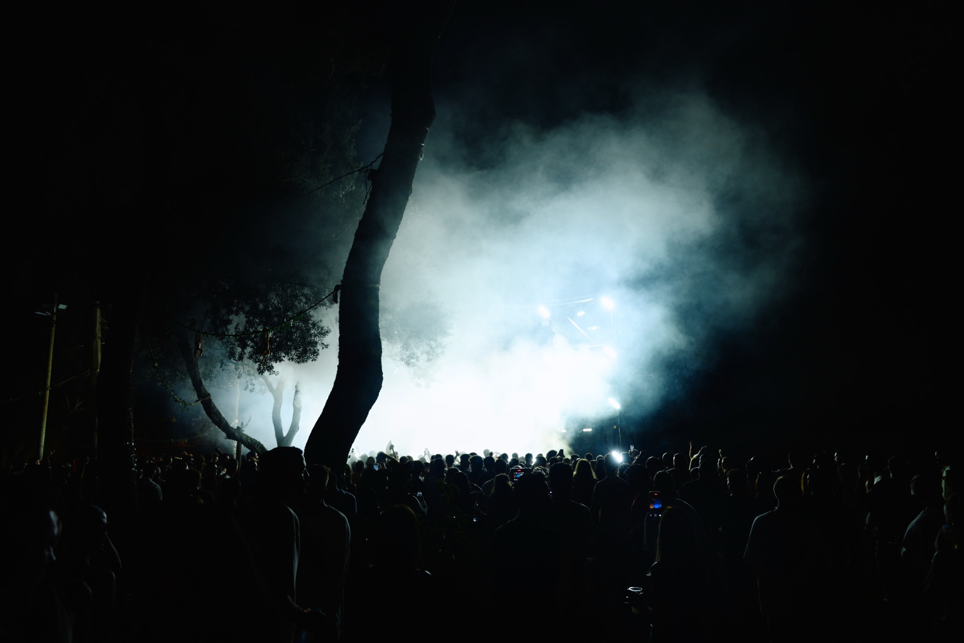 MESS JUNGLE TRIP — 22