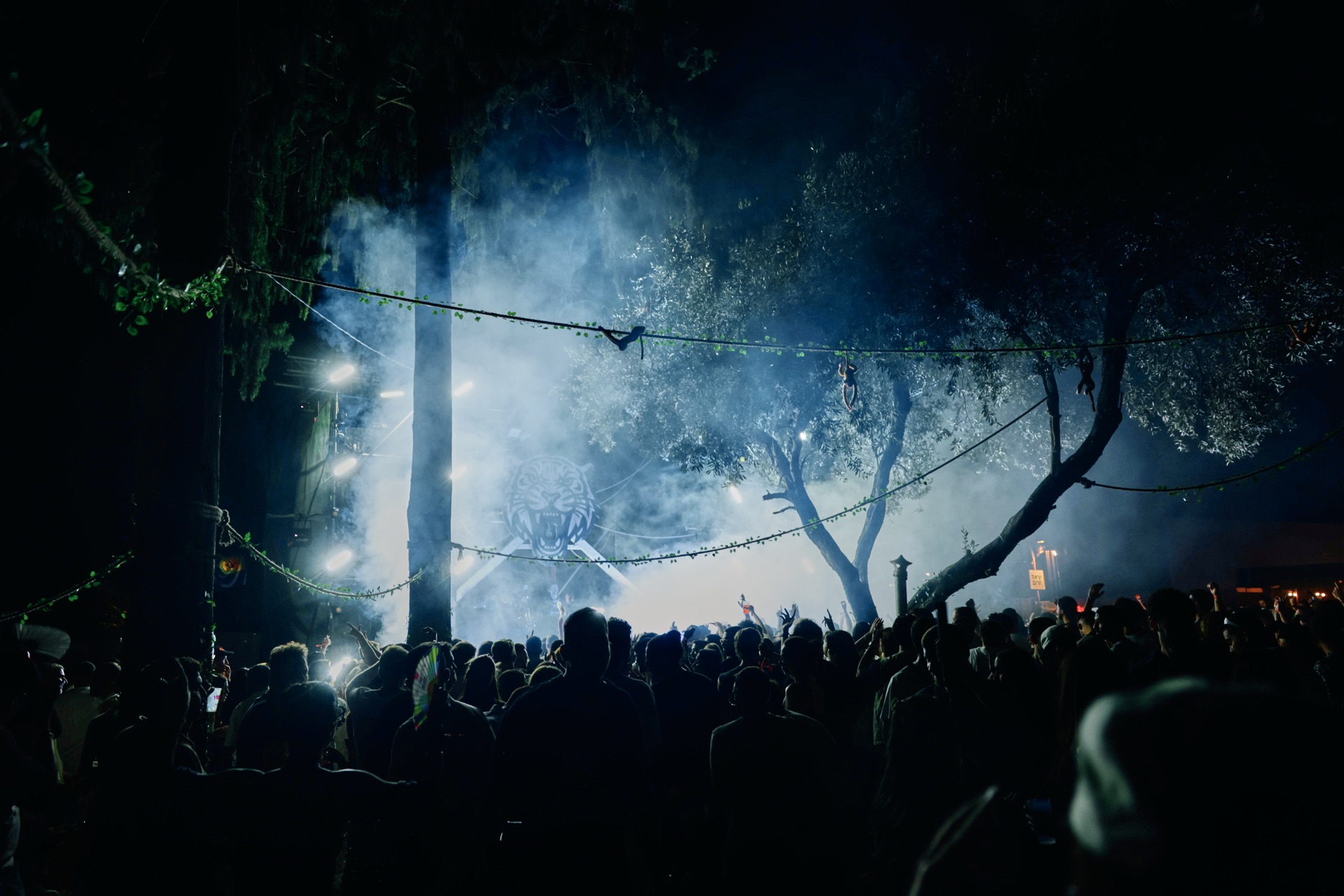 MESS JUNGLE TRIP — 23