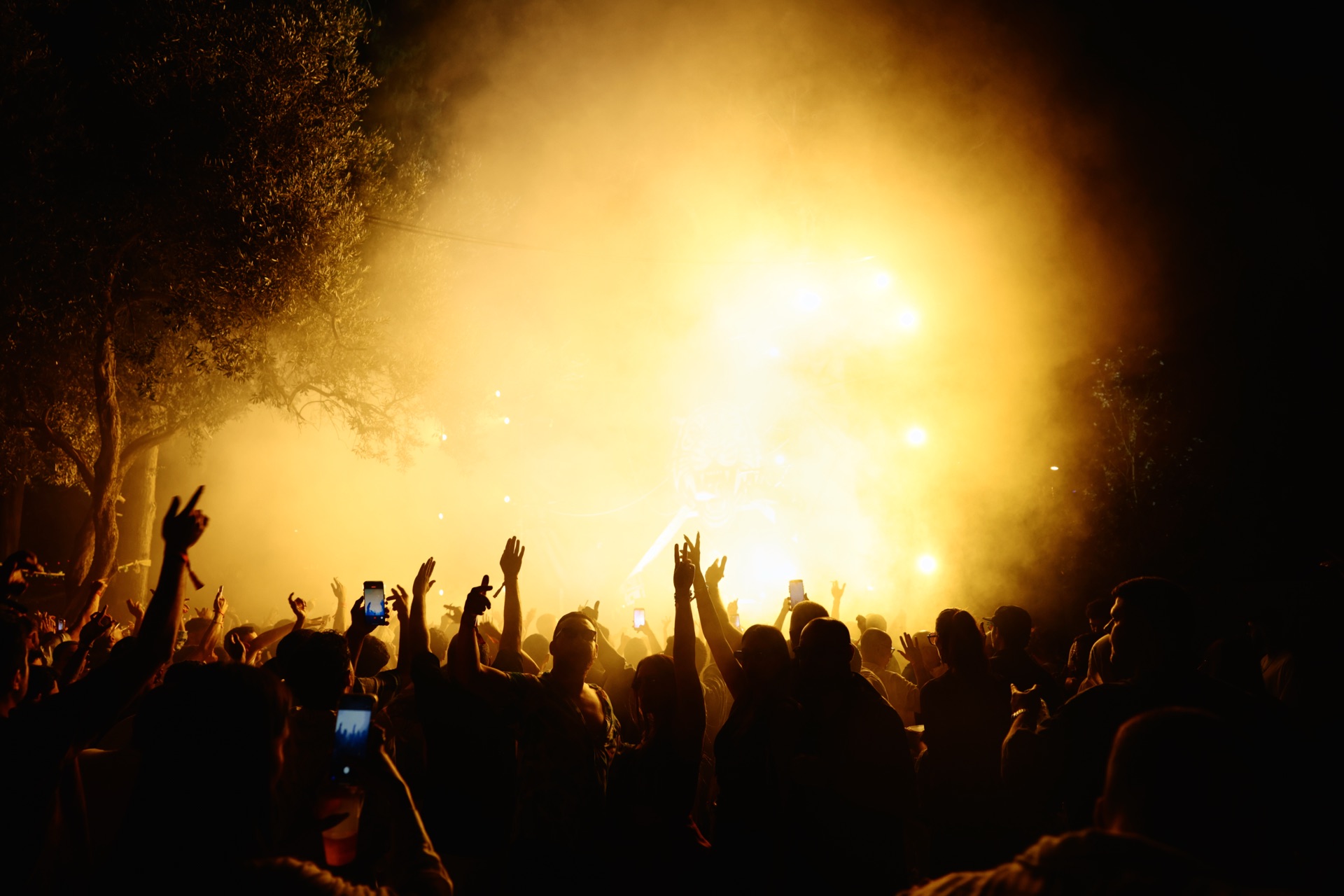 MESS JUNGLE TRIP — 26