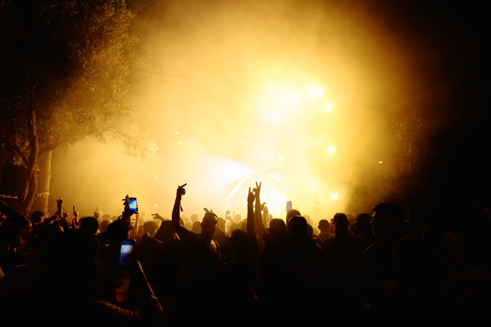 MESS JUNGLE TRIP — 27