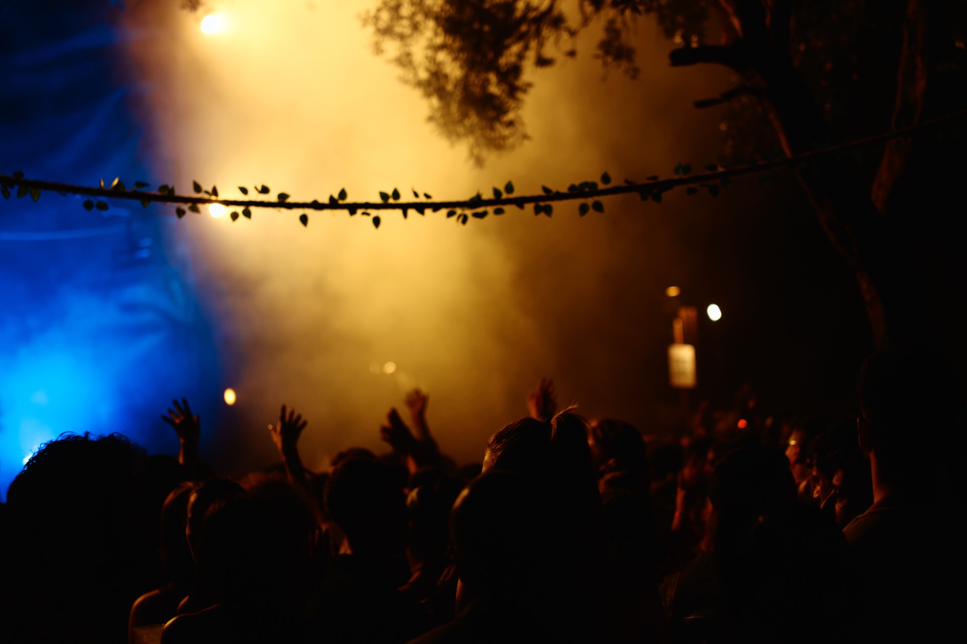 MESS JUNGLE TRIP — 28