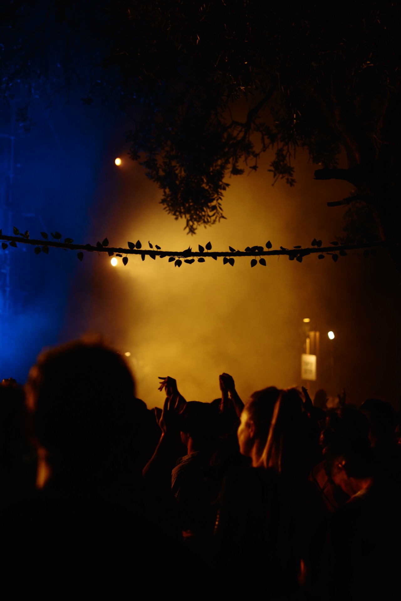 MESS JUNGLE TRIP — 29