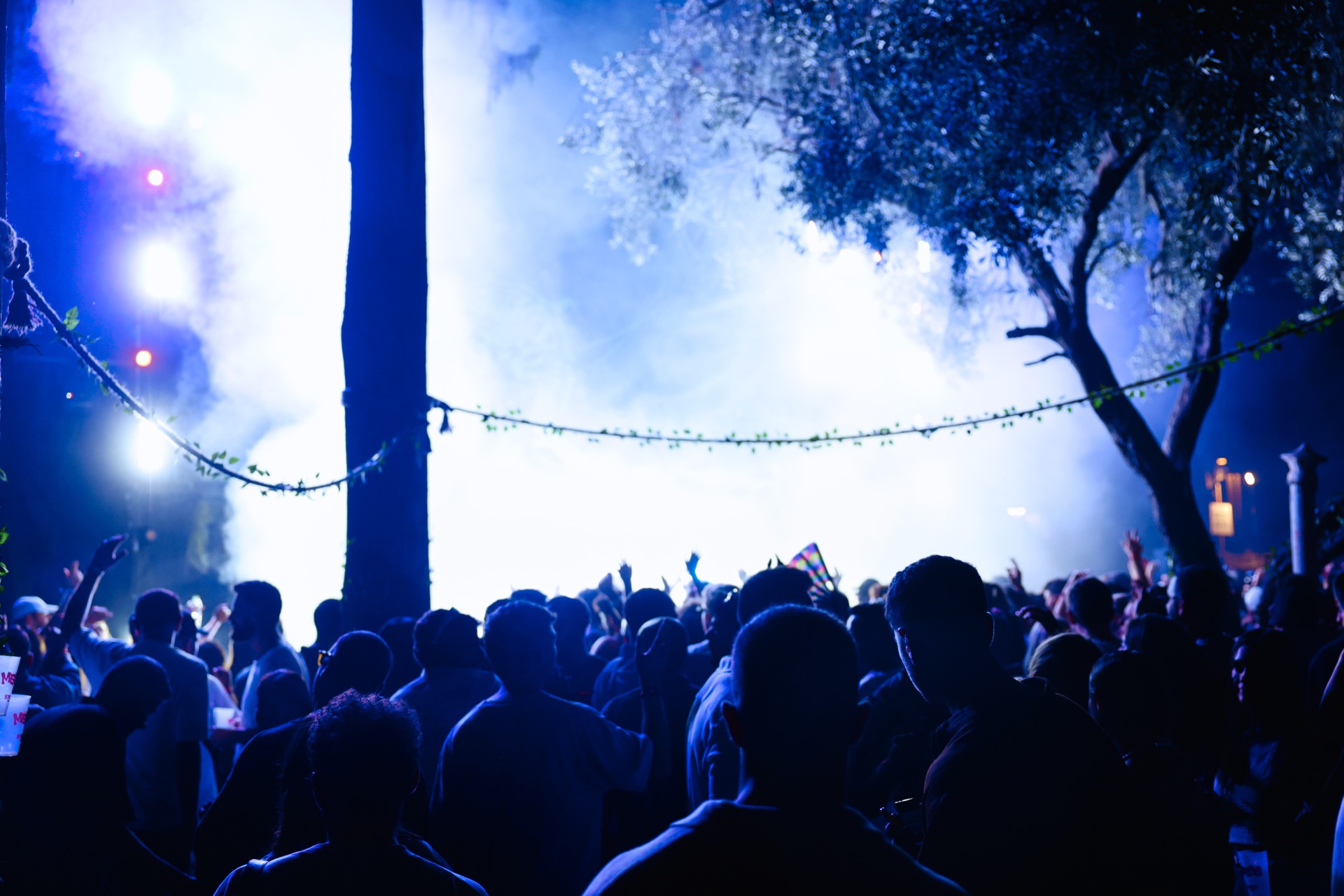 MESS JUNGLE TRIP — 40