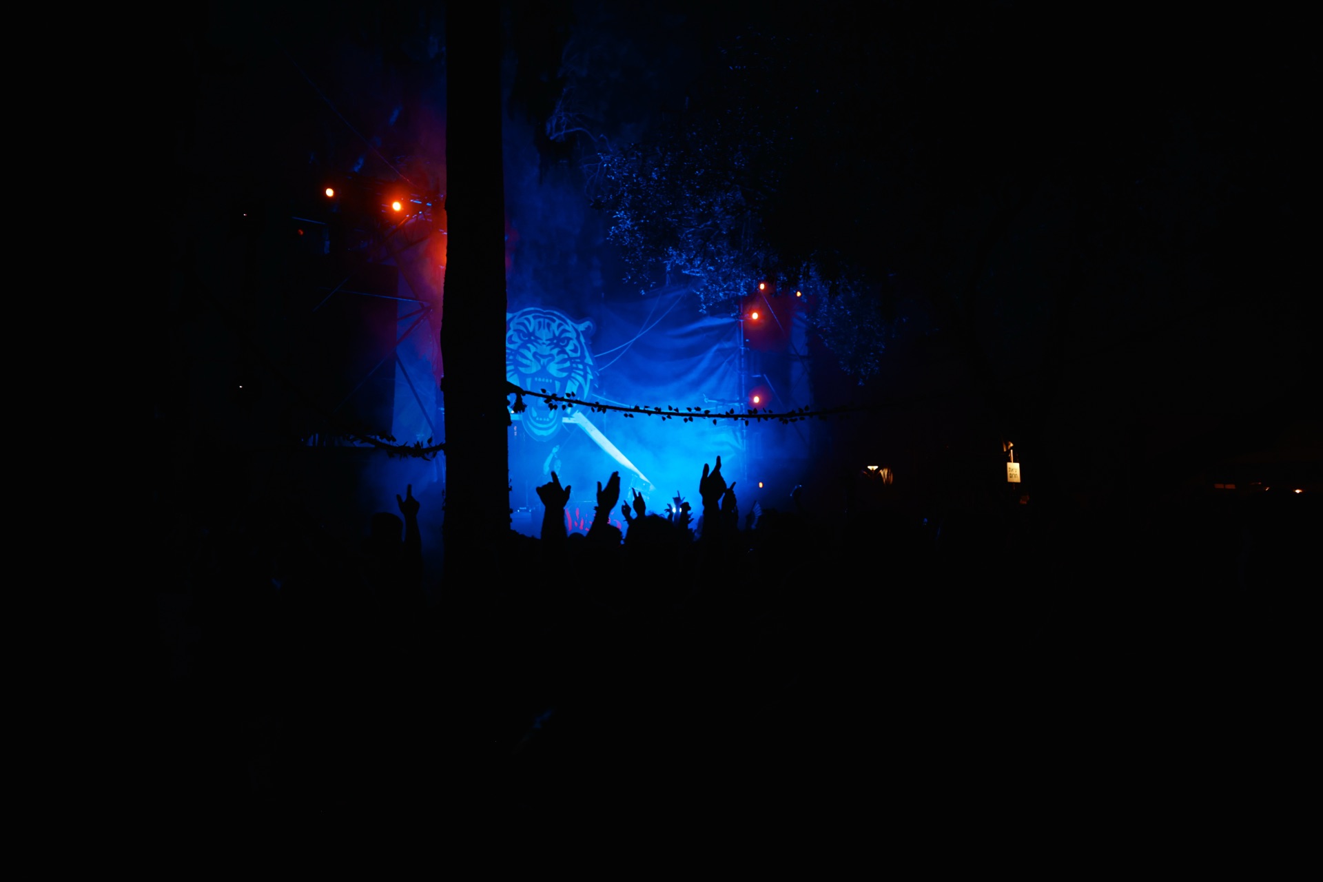 MESS JUNGLE TRIP — 41