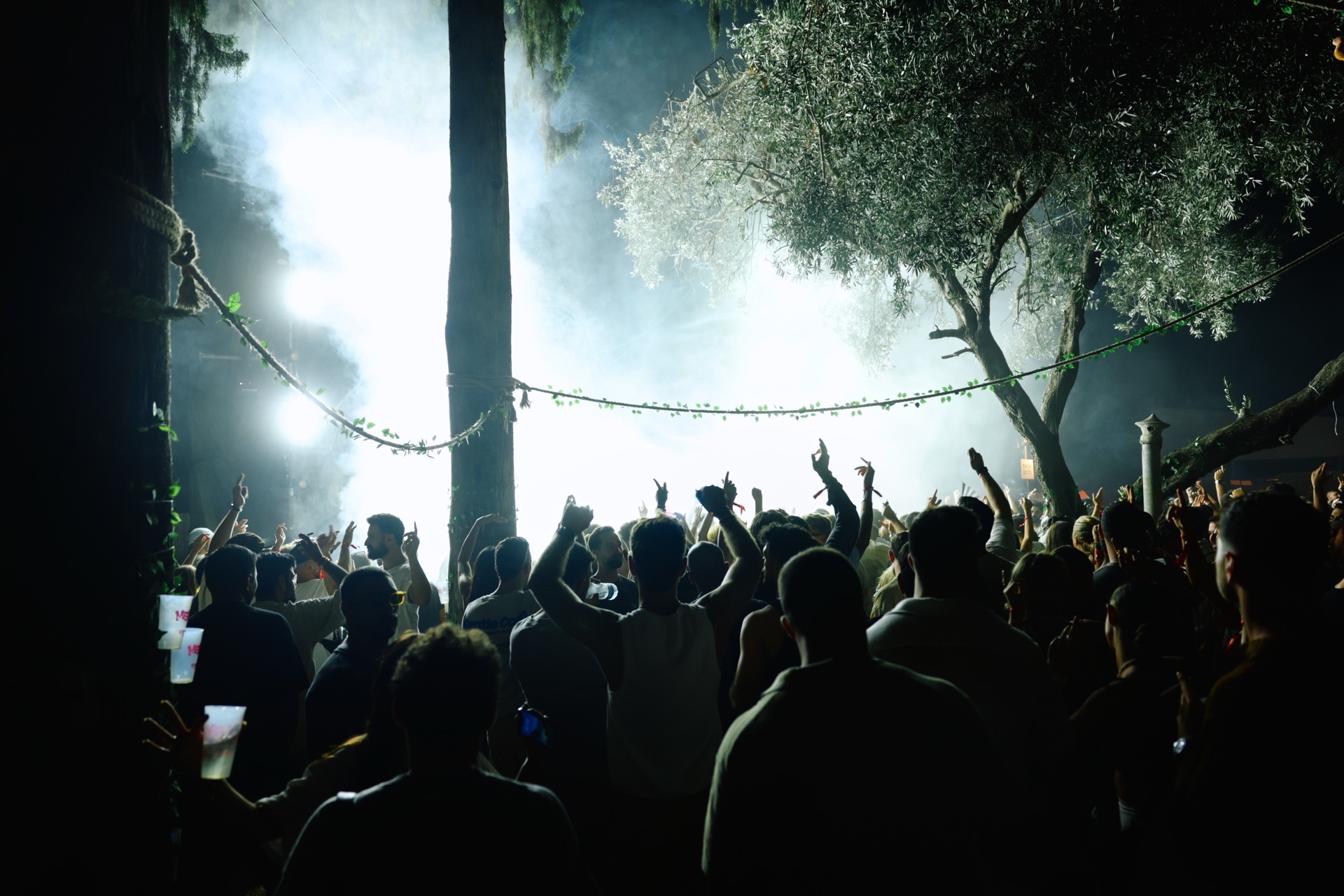 MESS JUNGLE TRIP — 42