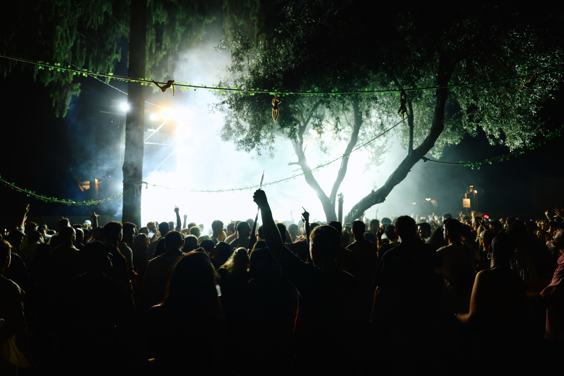 MESS JUNGLE TRIP — 48