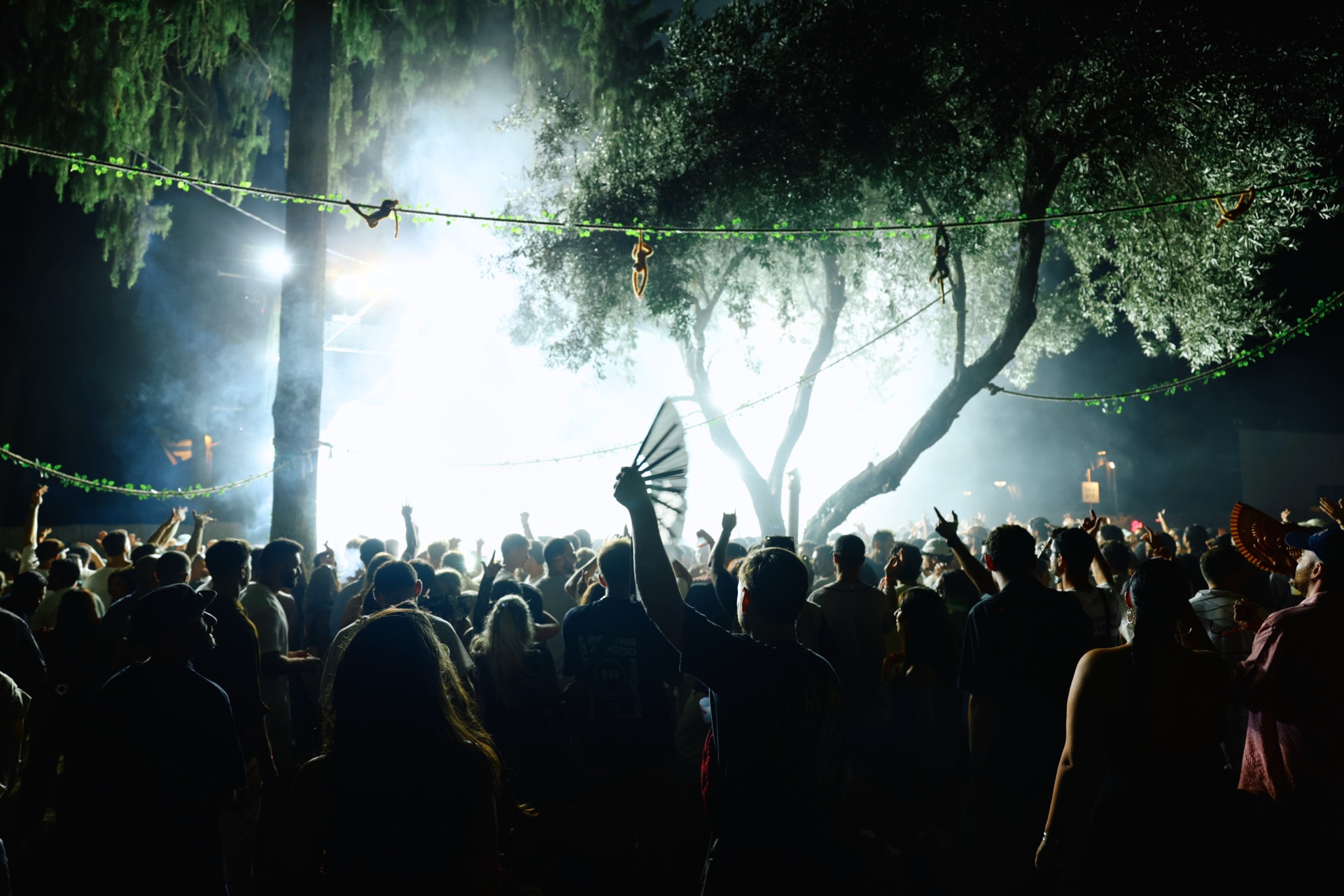 MESS JUNGLE TRIP — 49