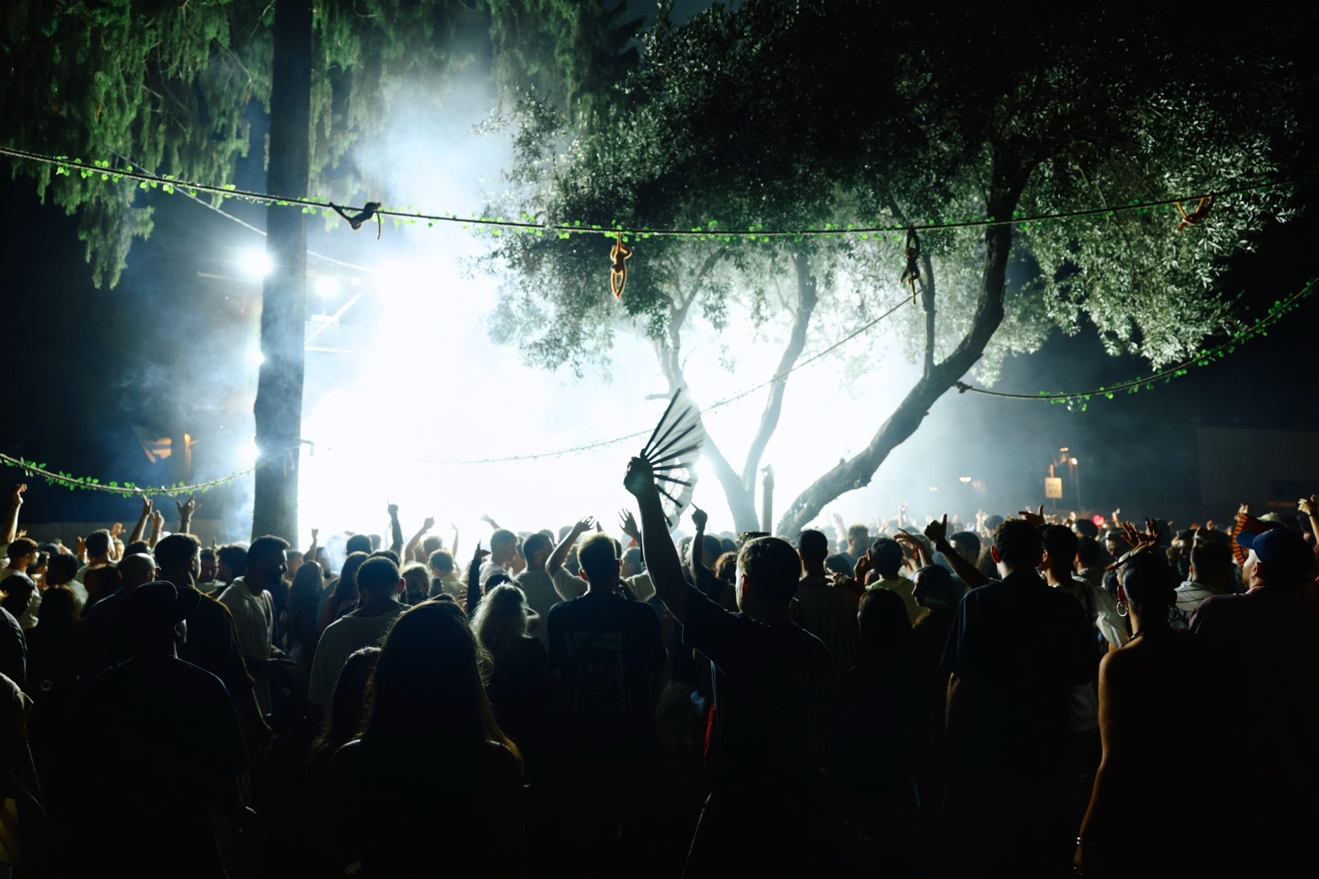 MESS JUNGLE TRIP — 50