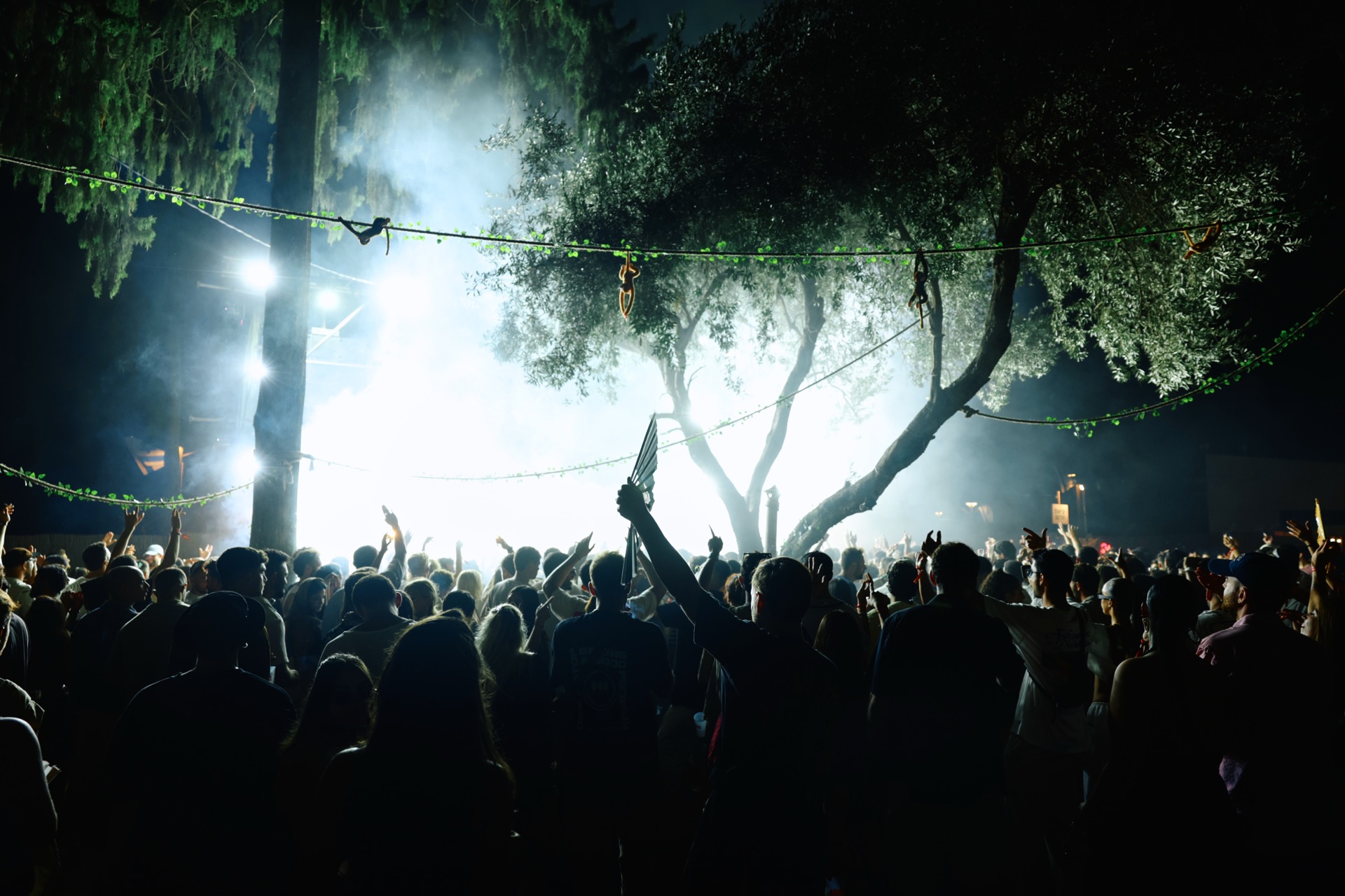 MESS JUNGLE TRIP — 52