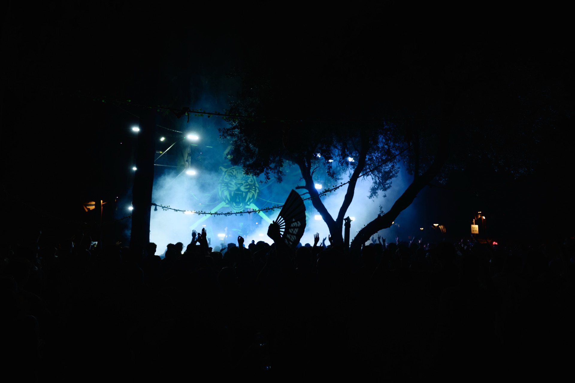 MESS JUNGLE TRIP — 53