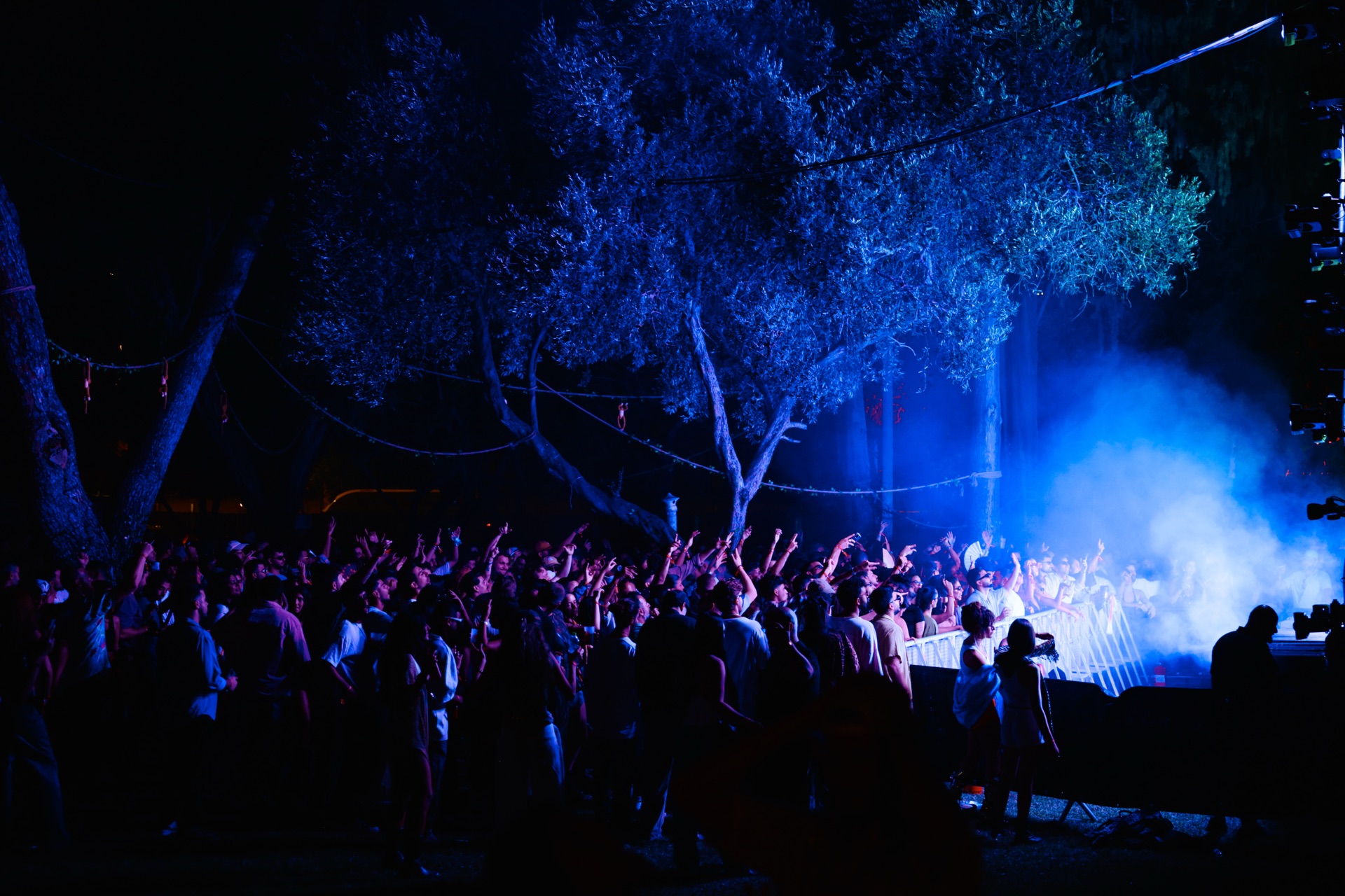 MESS JUNGLE TRIP — 54