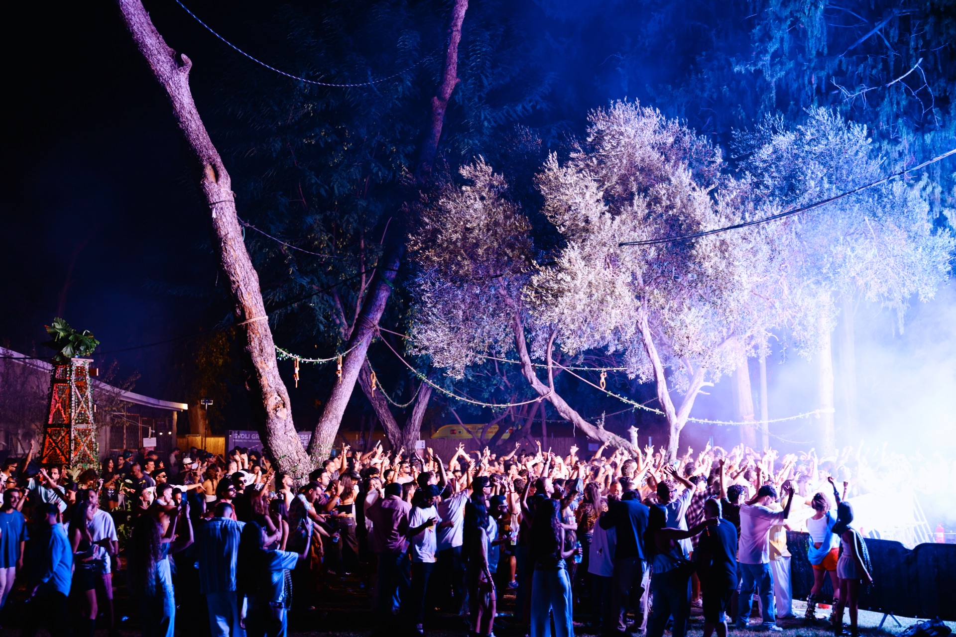 MESS JUNGLE TRIP — 55