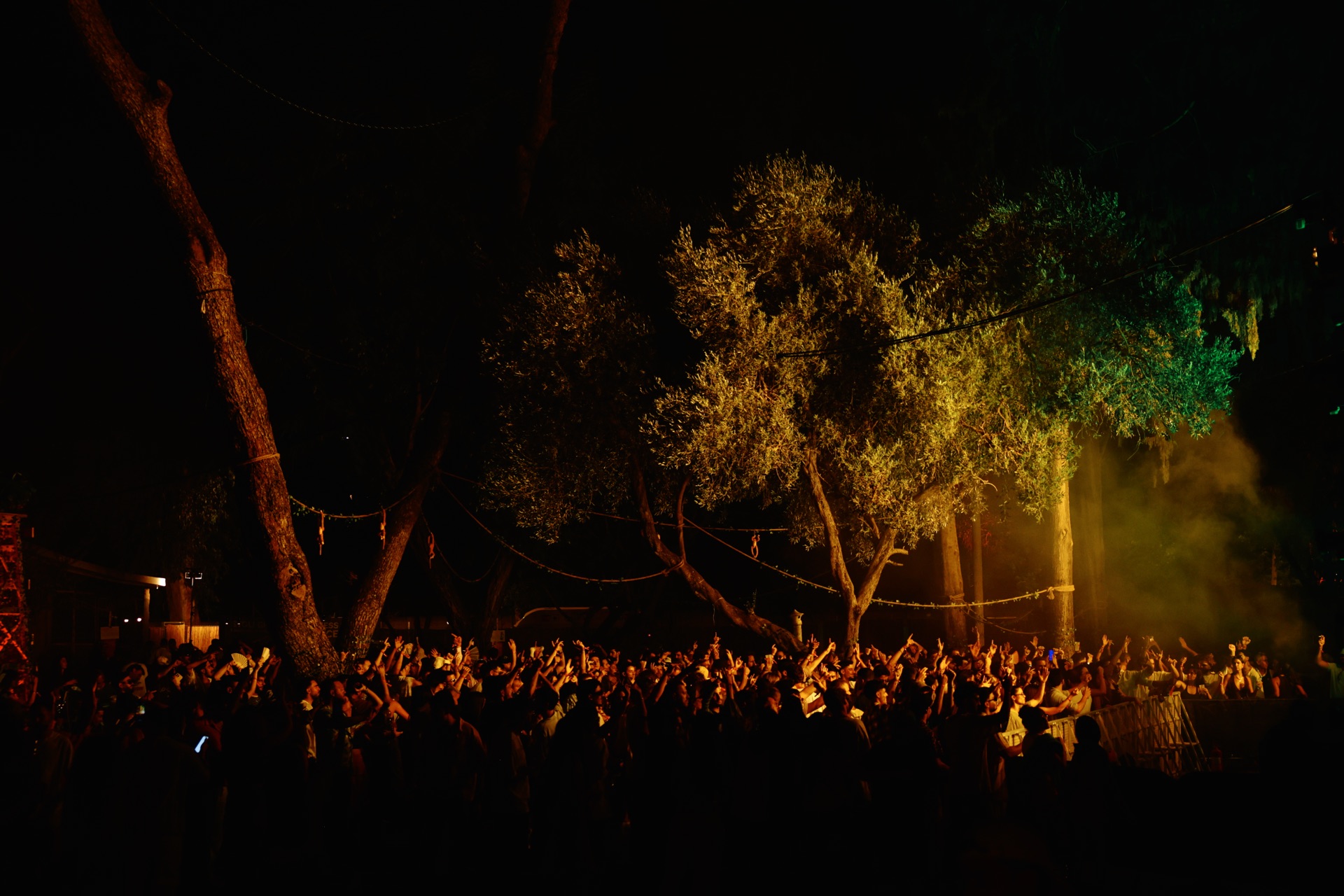 MESS JUNGLE TRIP — 56