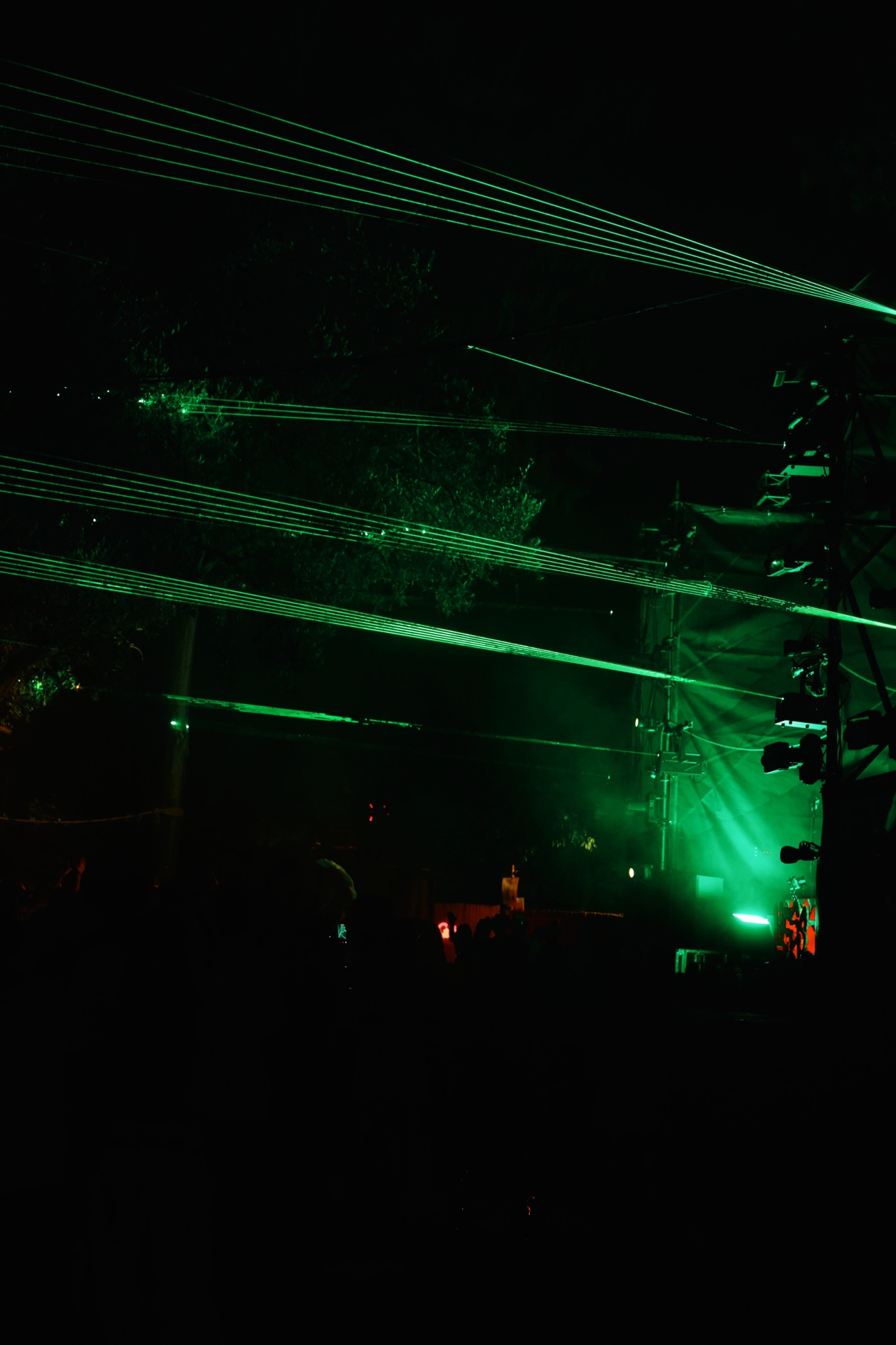 MESS JUNGLE TRIP — 58