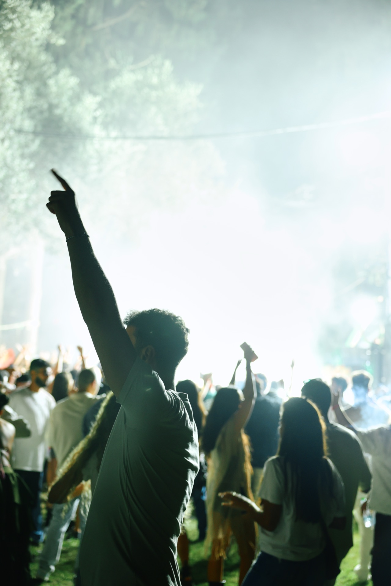 MESS JUNGLE TRIP — 59