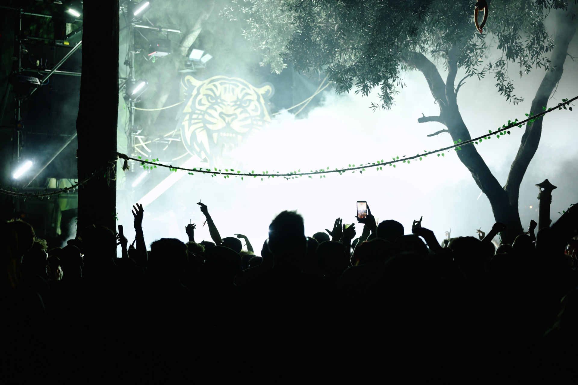 MESS JUNGLE TRIP — 60