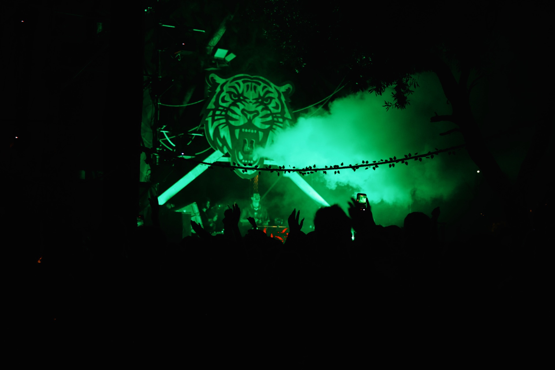 MESS JUNGLE TRIP — 61