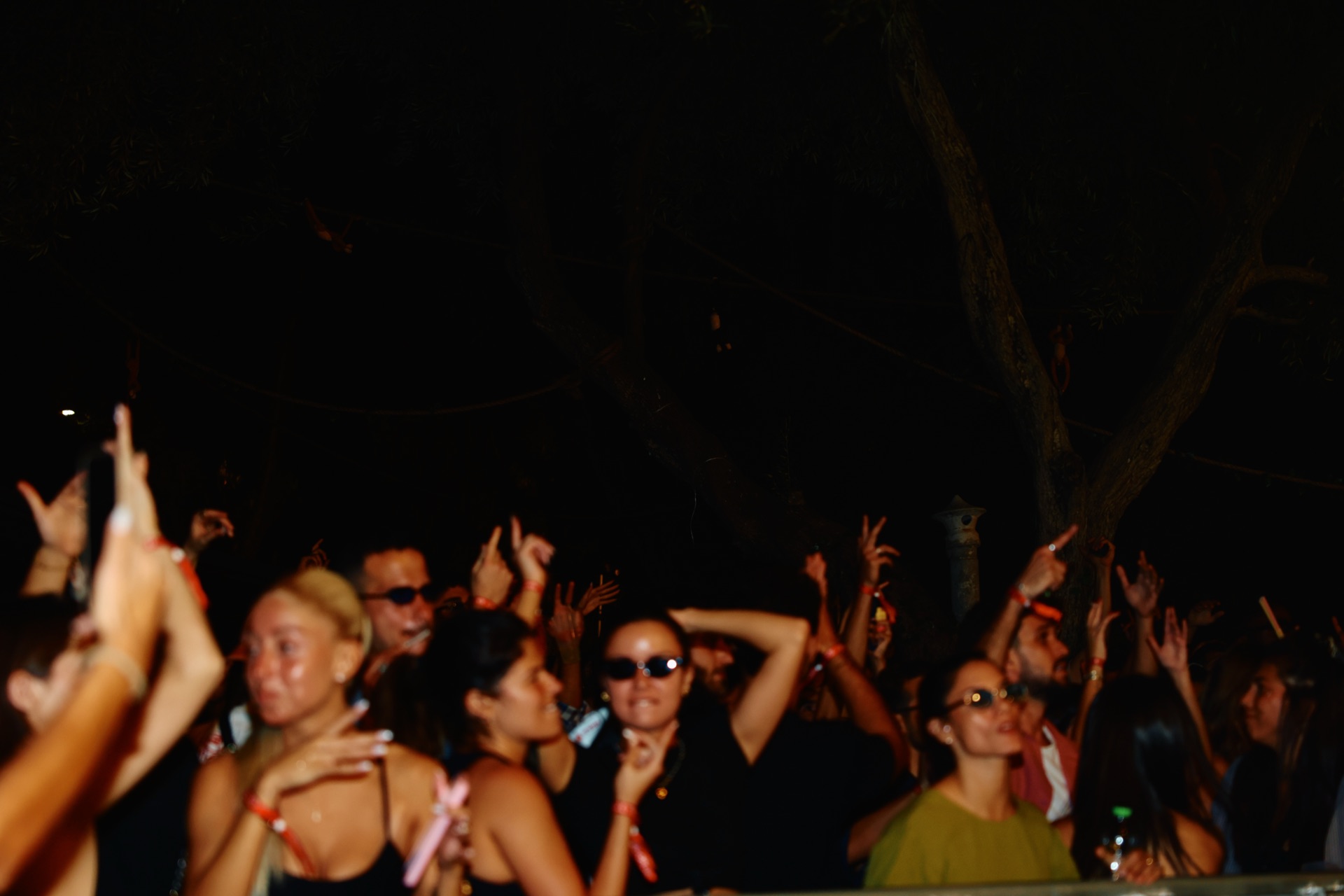 MESS JUNGLE TRIP — 68