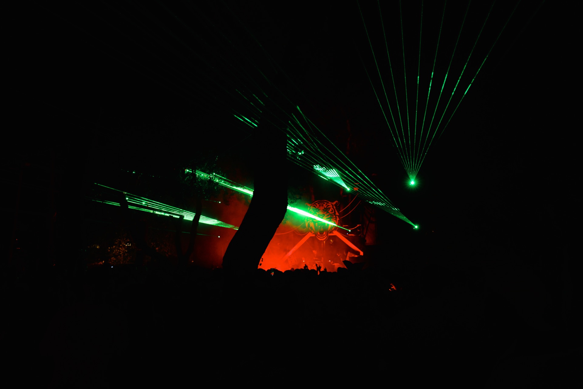 MESS JUNGLE TRIP — 71