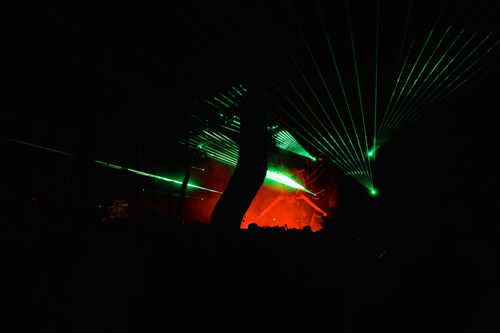 MESS JUNGLE TRIP — 74