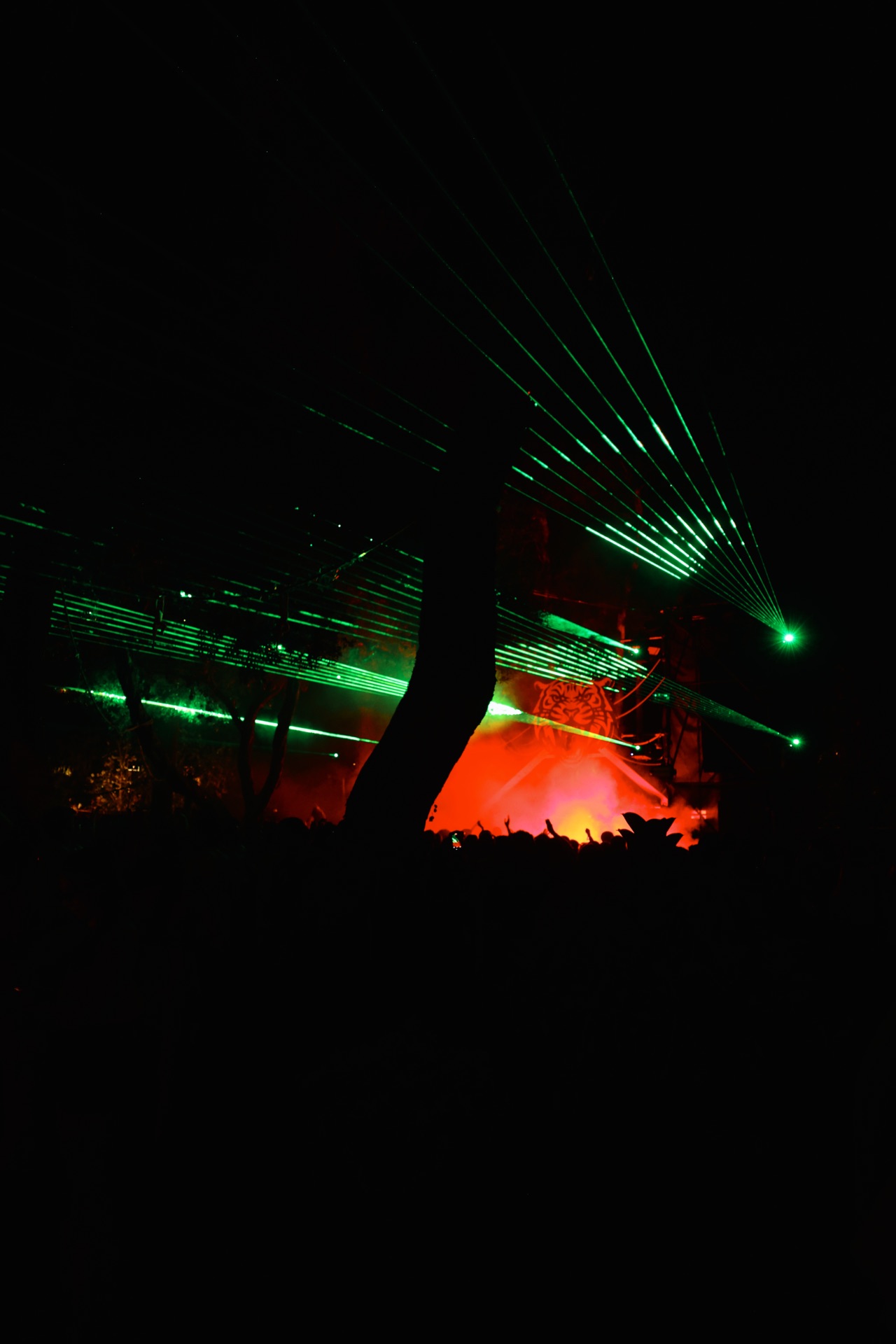 MESS JUNGLE TRIP — 76