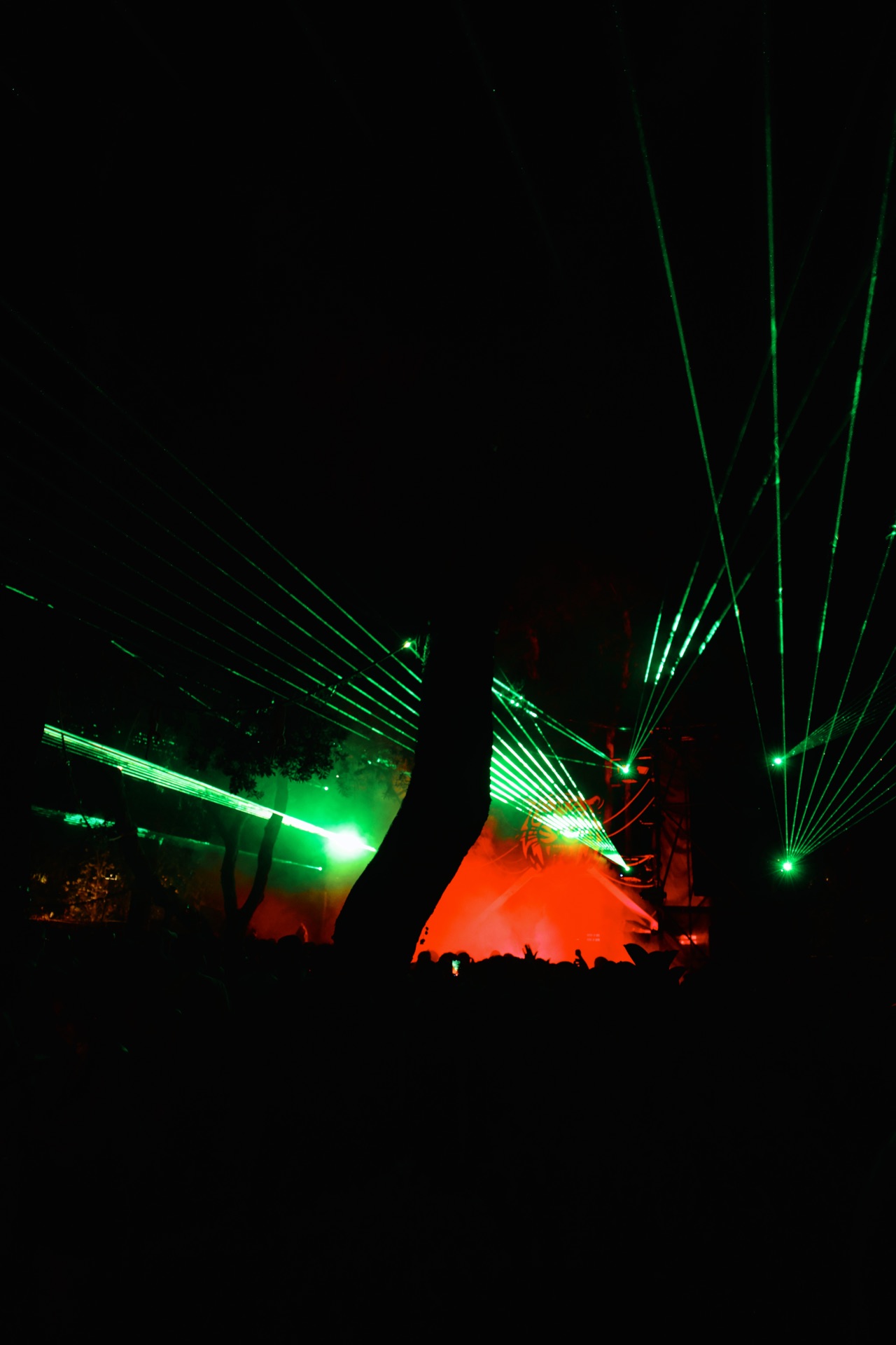 MESS JUNGLE TRIP — 77