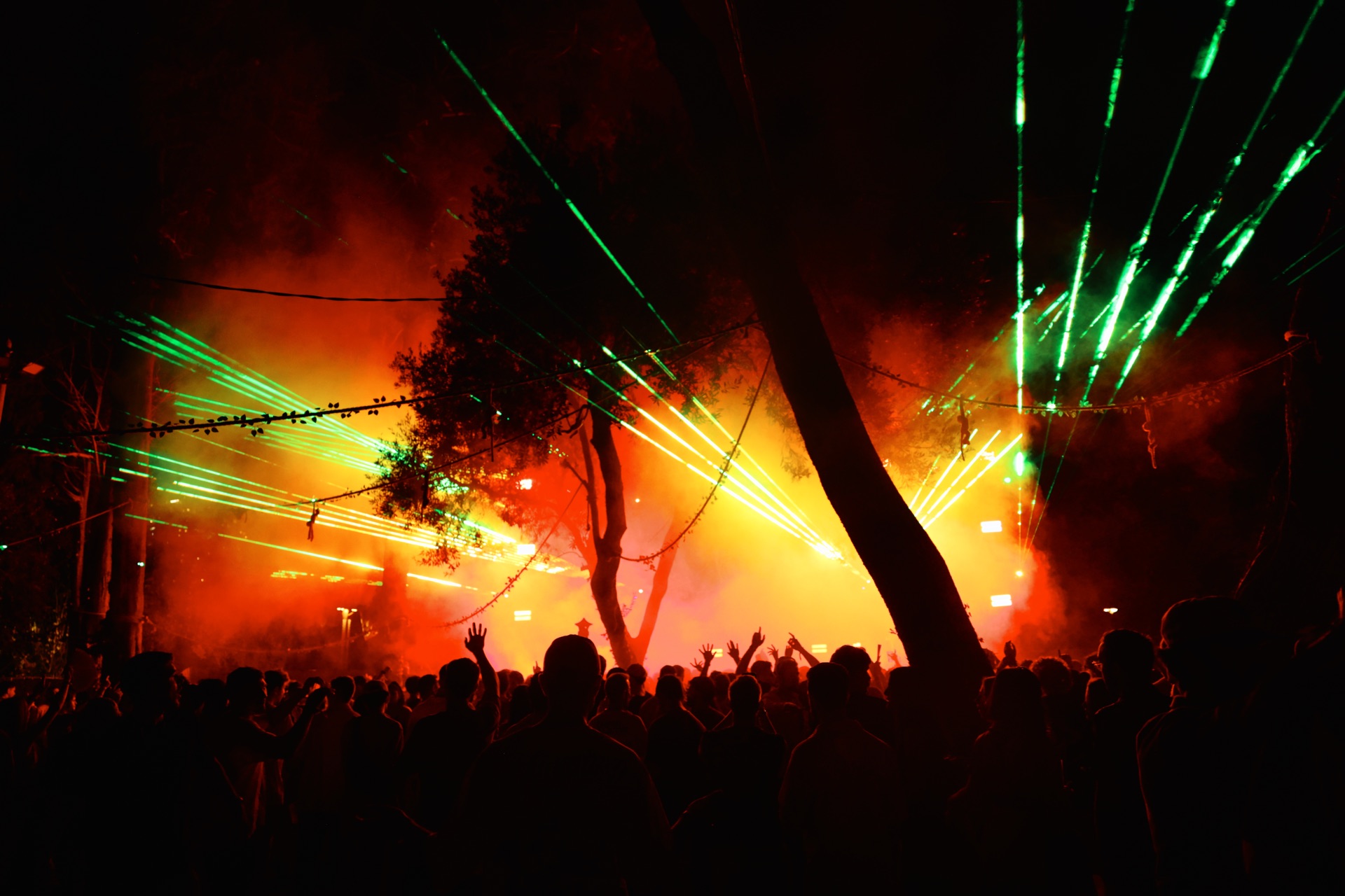 MESS JUNGLE TRIP — 79