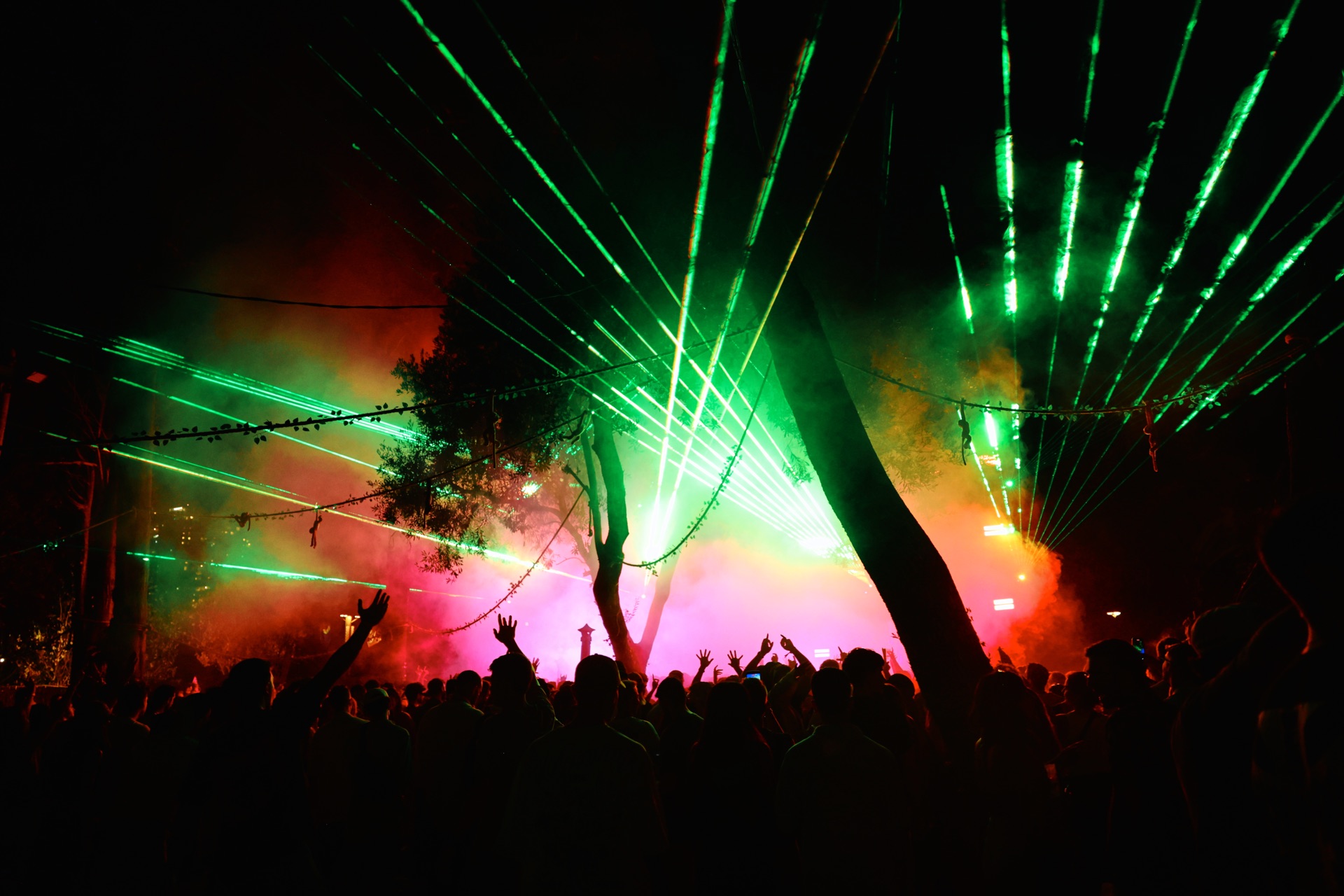 MESS JUNGLE TRIP — 80