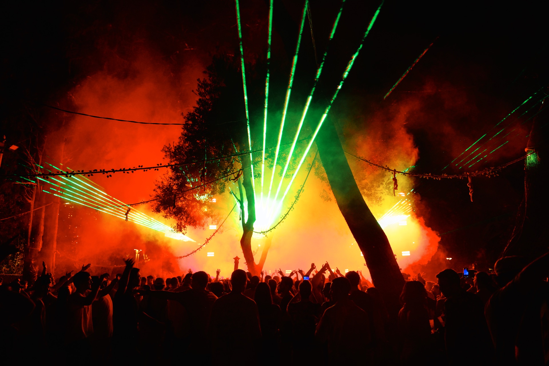 MESS JUNGLE TRIP — 81