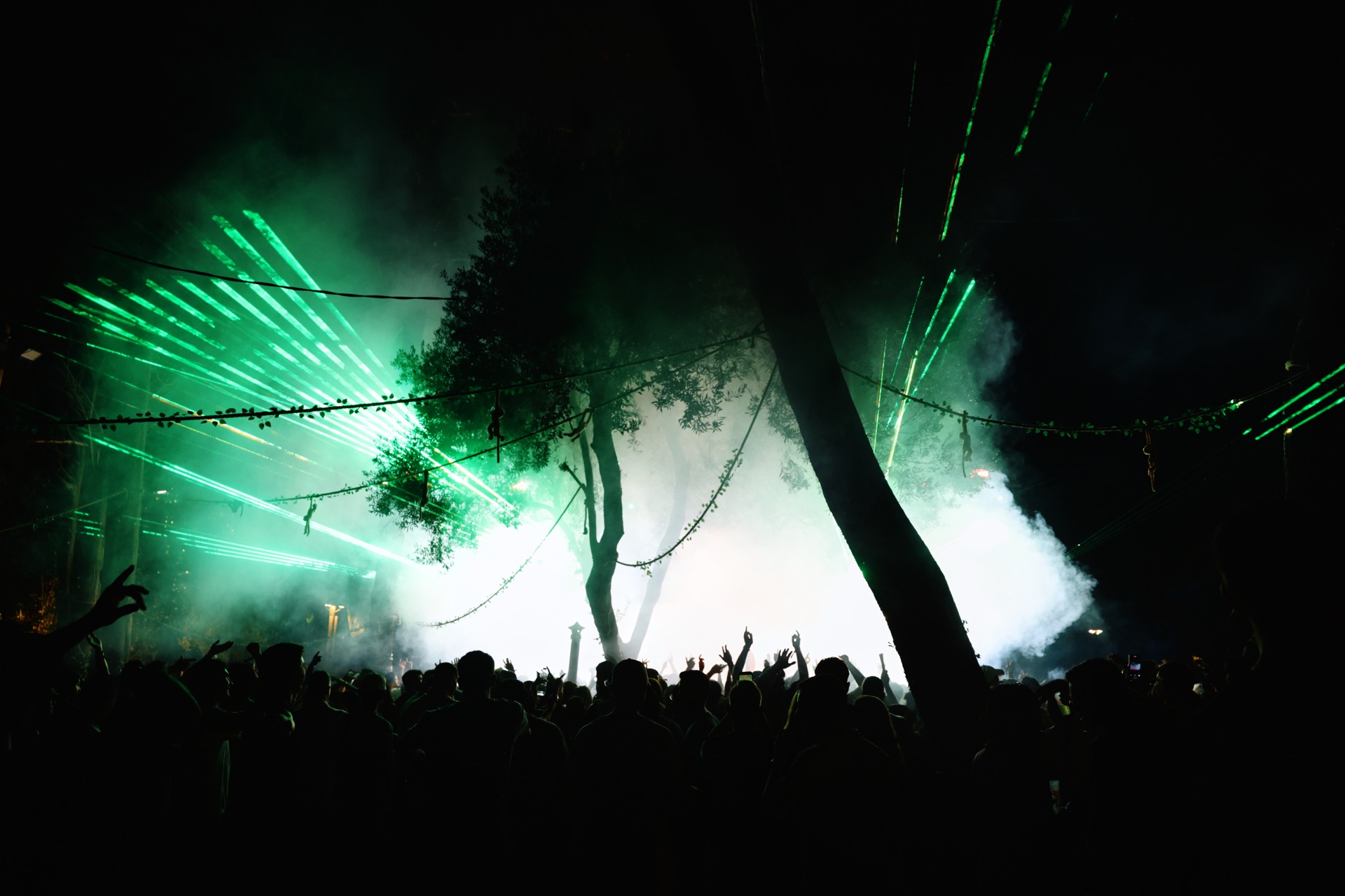 MESS JUNGLE TRIP — 82