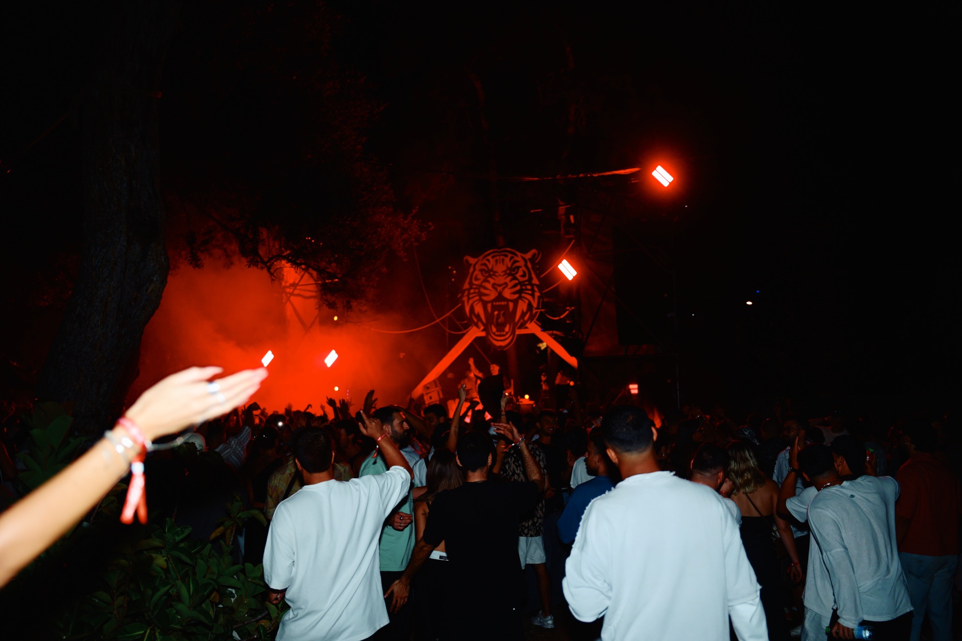 MESS JUNGLE TRIP — 113