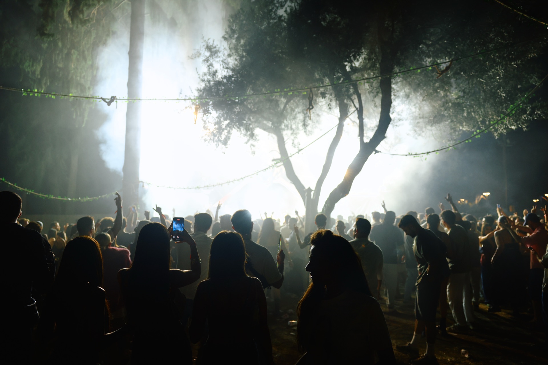 MESS JUNGLE TRIP — 124