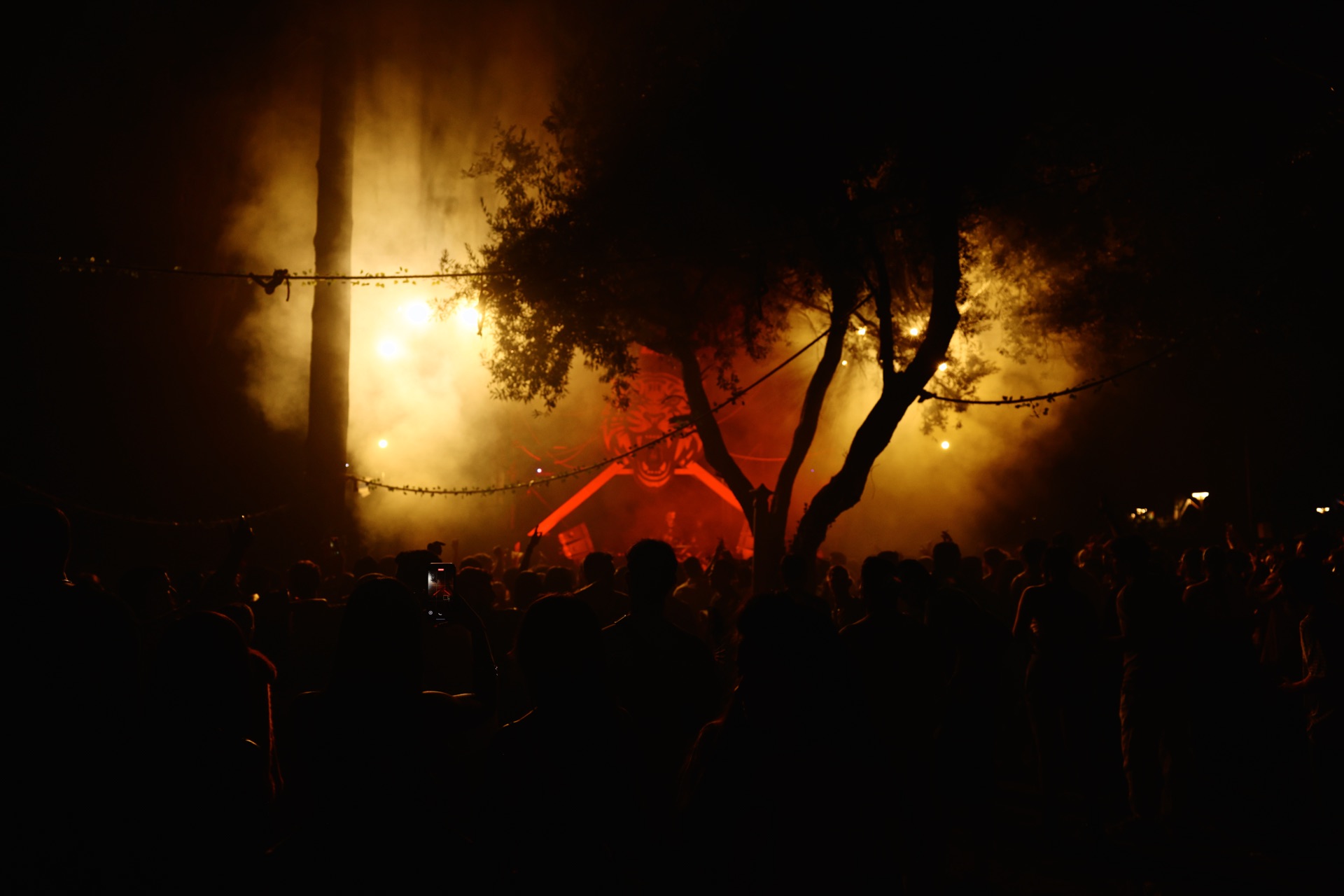 MESS JUNGLE TRIP — 125