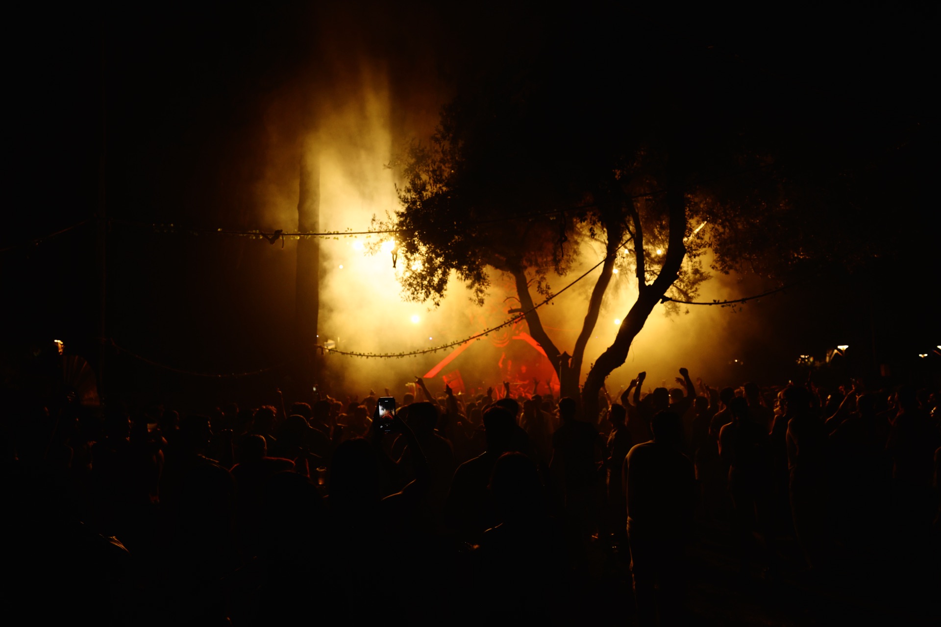 MESS JUNGLE TRIP — 127