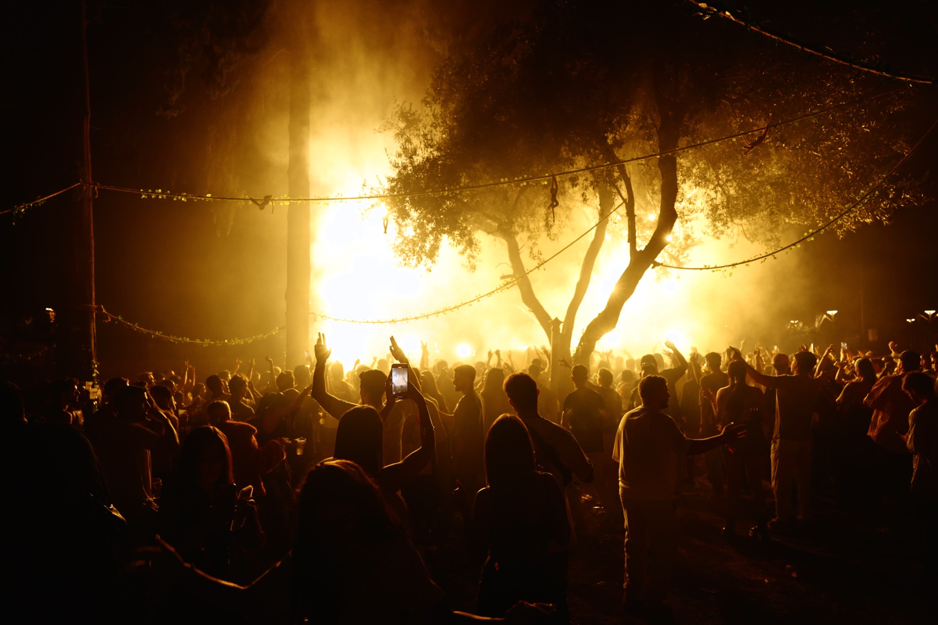 MESS JUNGLE TRIP — 128