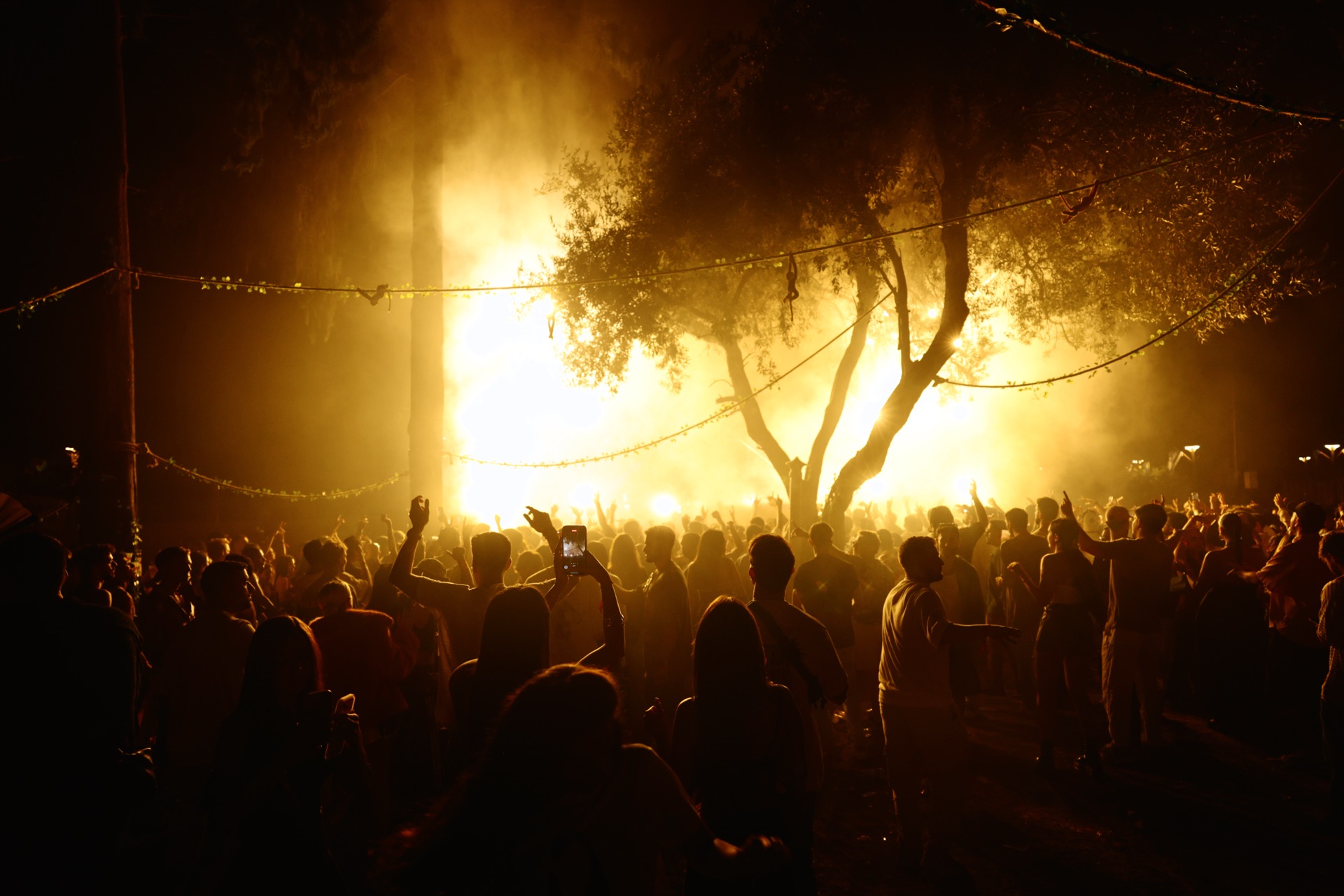 MESS JUNGLE TRIP — 129