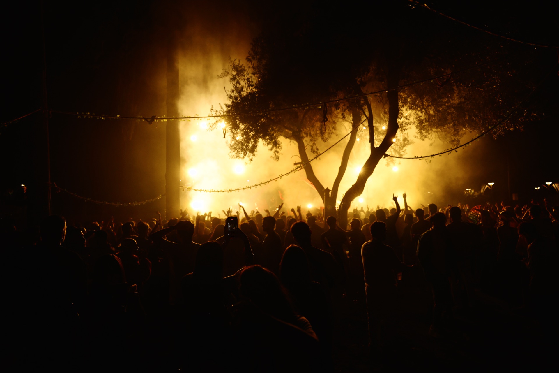 MESS JUNGLE TRIP — 130