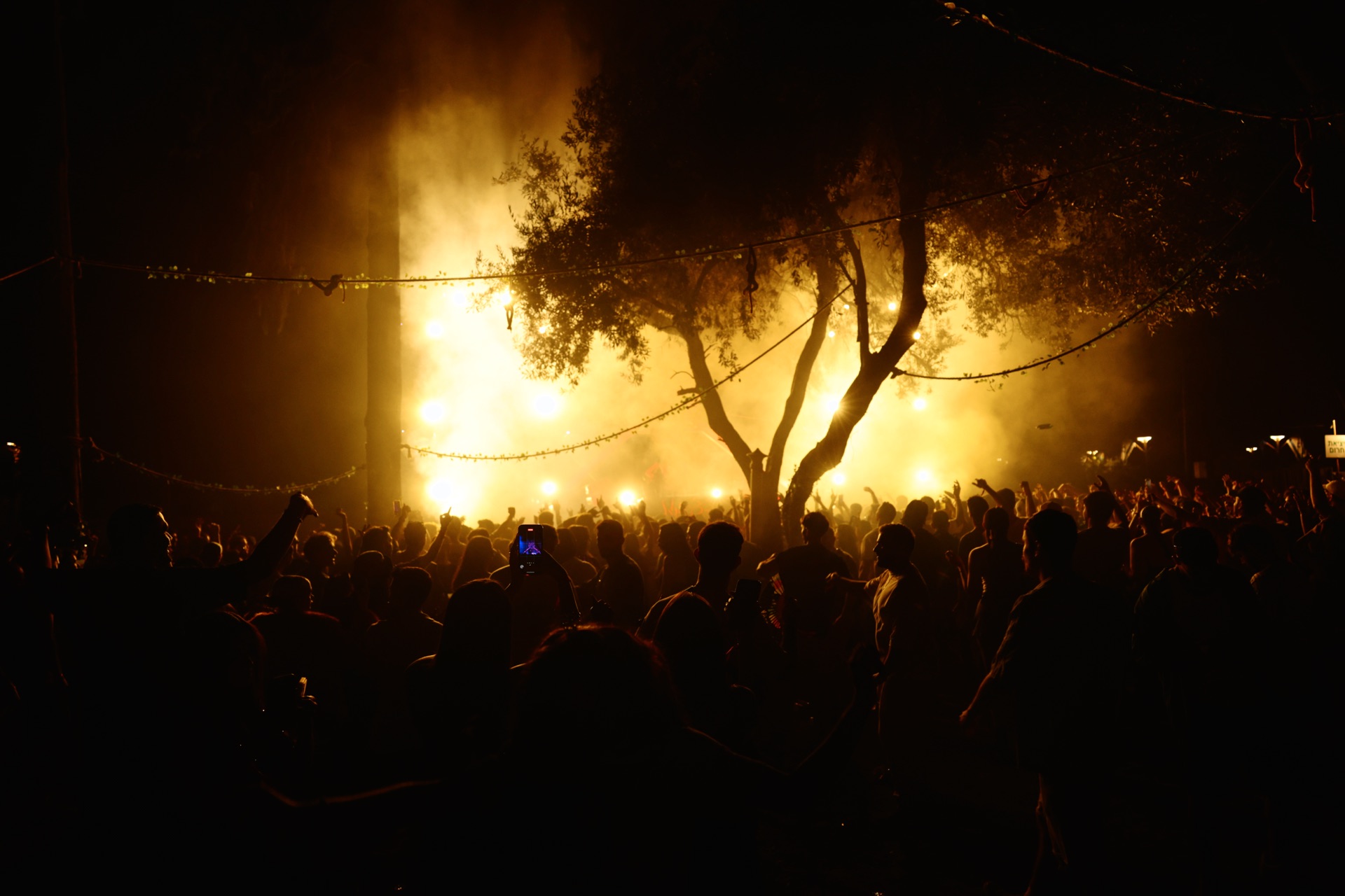 MESS JUNGLE TRIP — 131