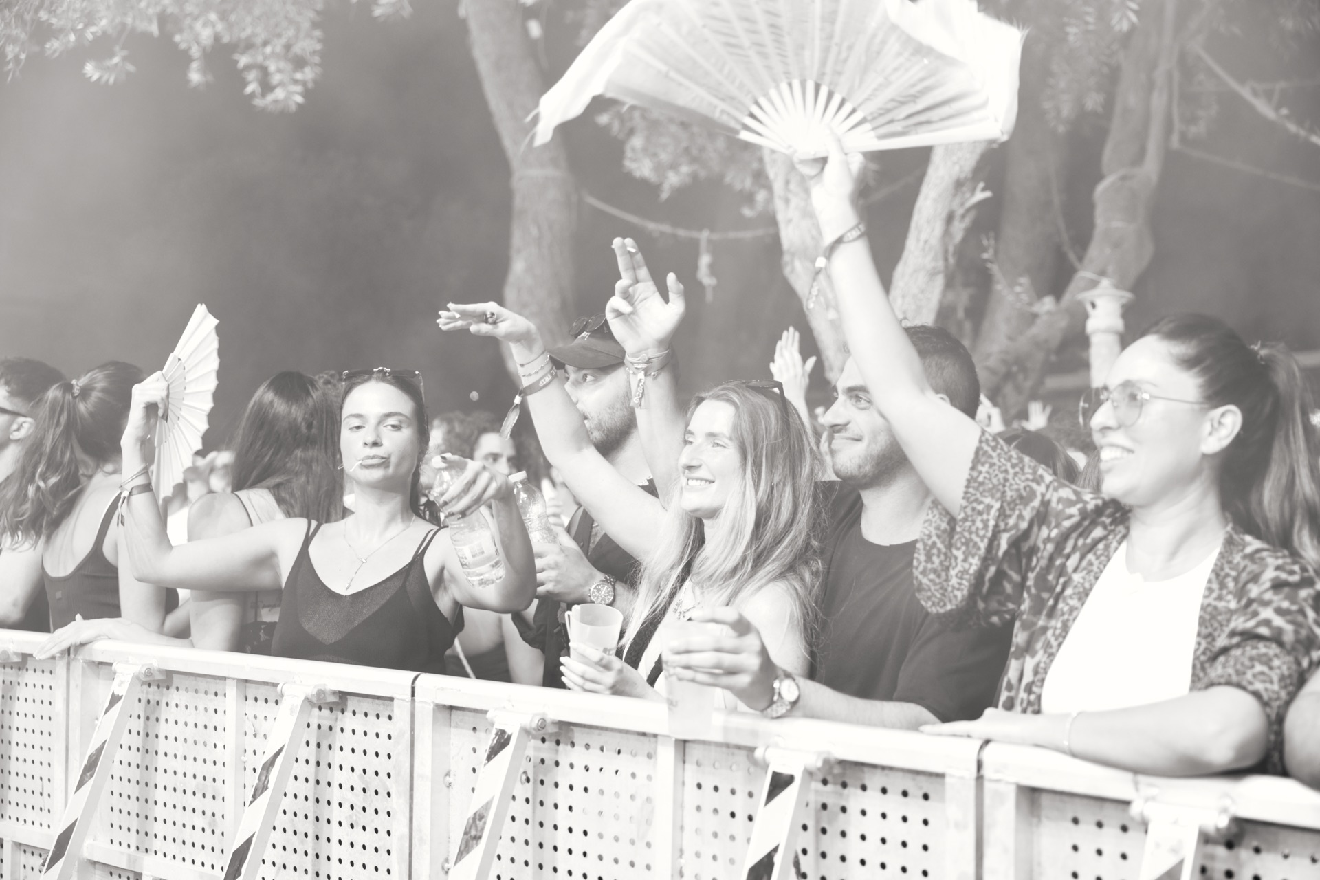 MESS JUNGLE TRIP — 135