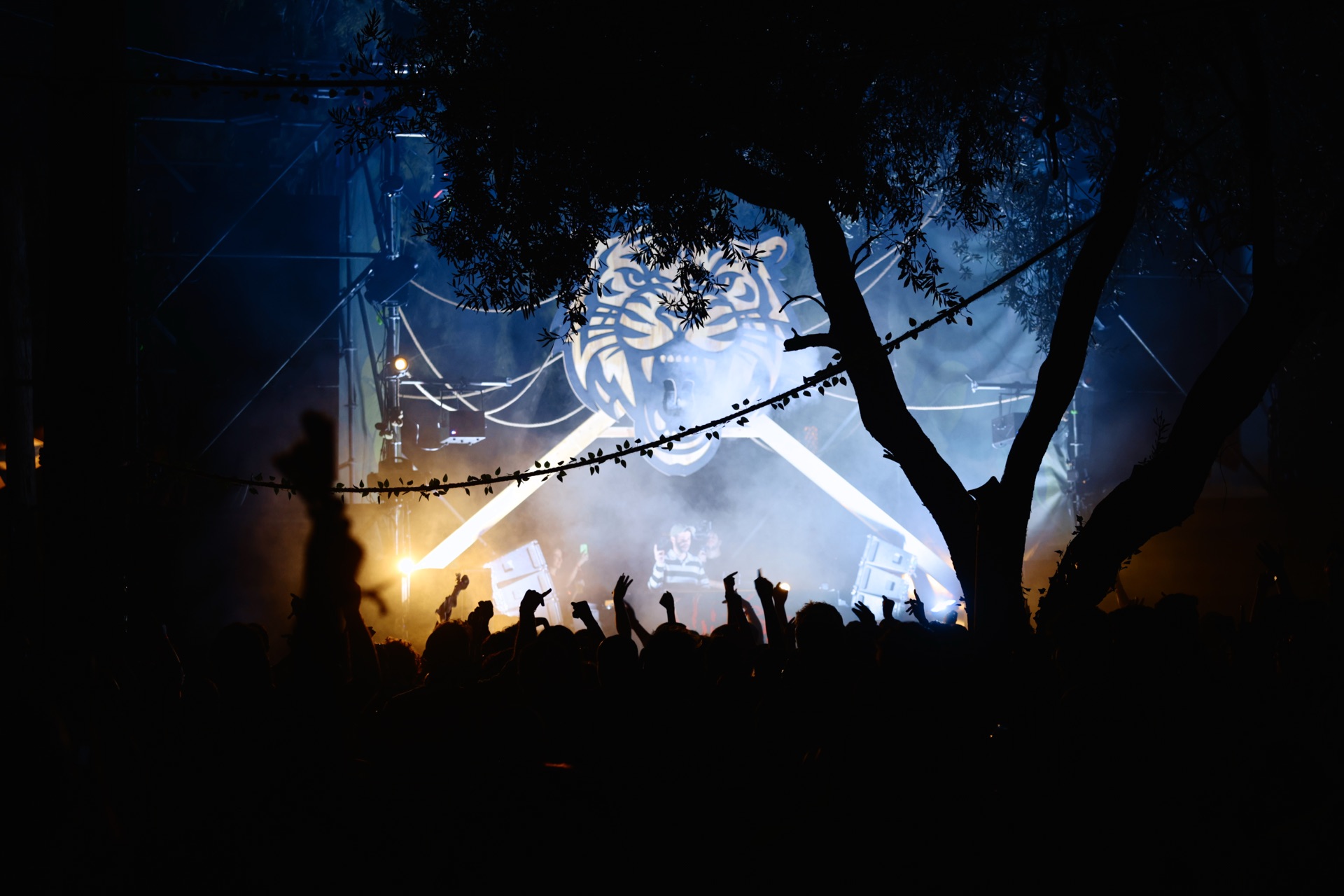 MESS JUNGLE TRIP — 148