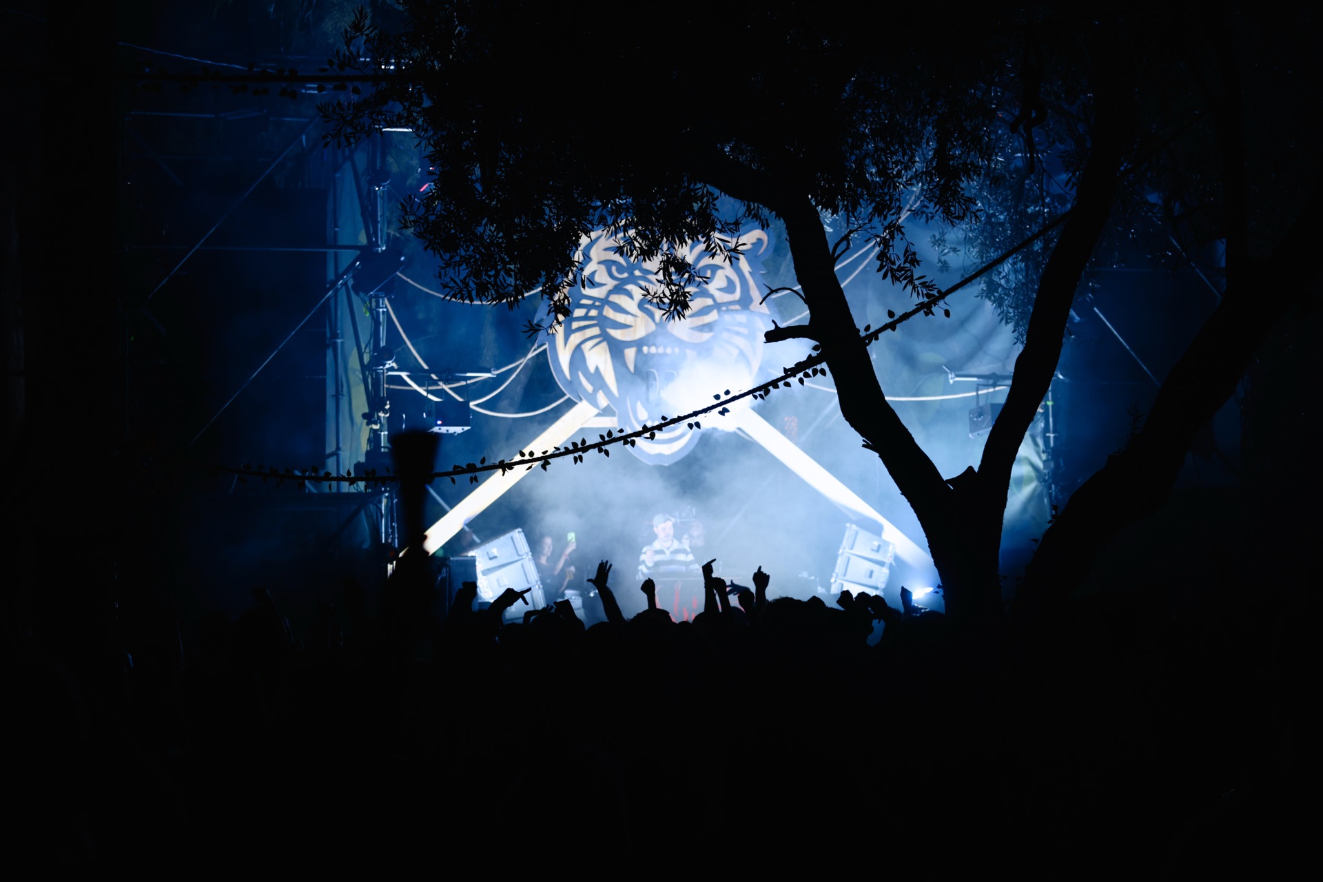 MESS JUNGLE TRIP — 149