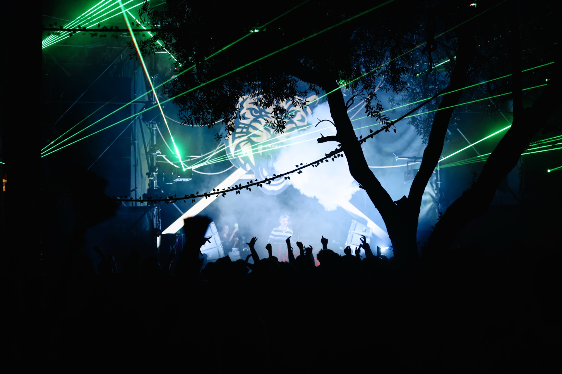 MESS JUNGLE TRIP — 150