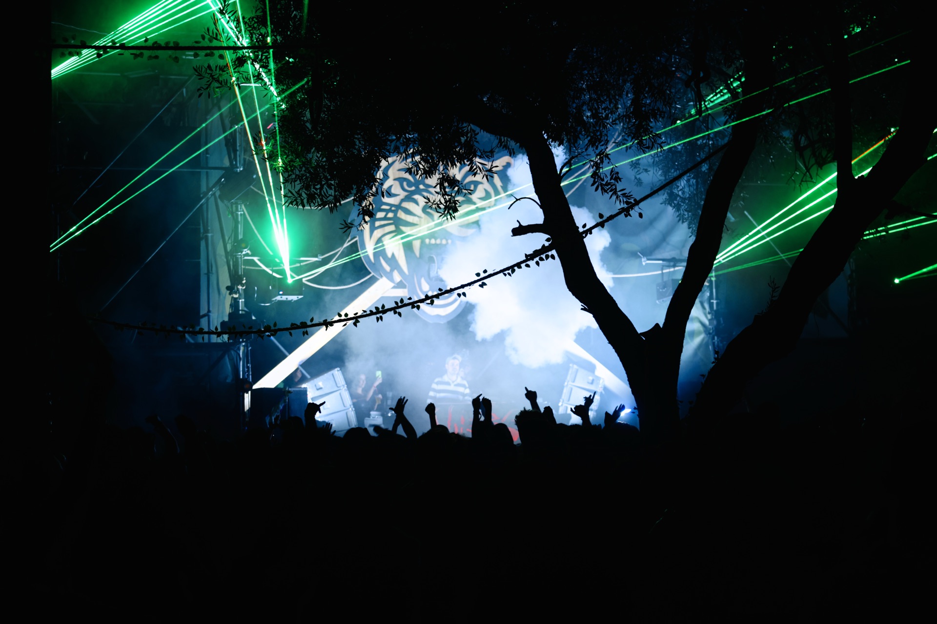 MESS JUNGLE TRIP — 151