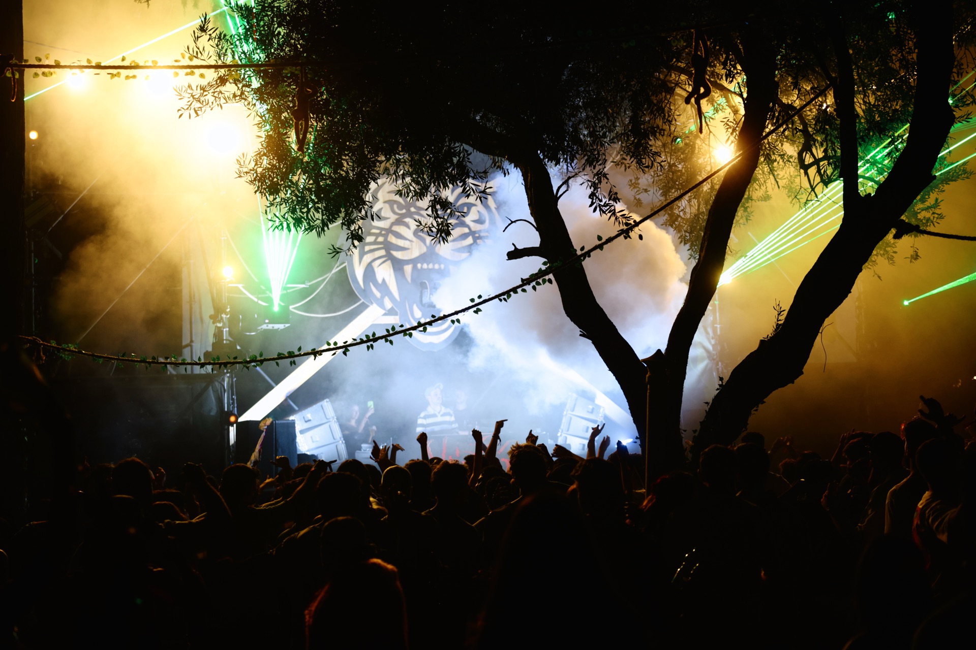 MESS JUNGLE TRIP — 152