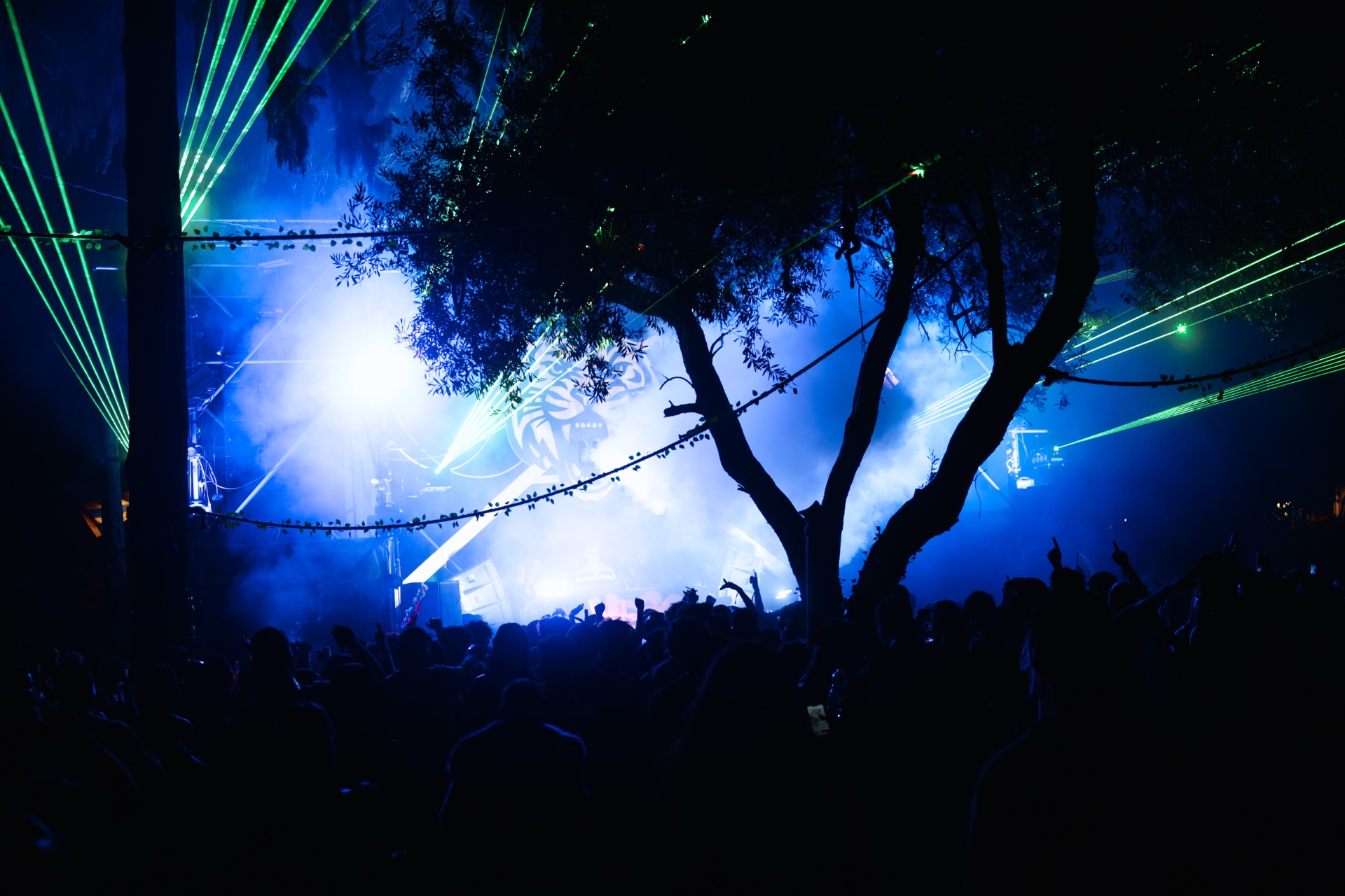 MESS JUNGLE TRIP — 153