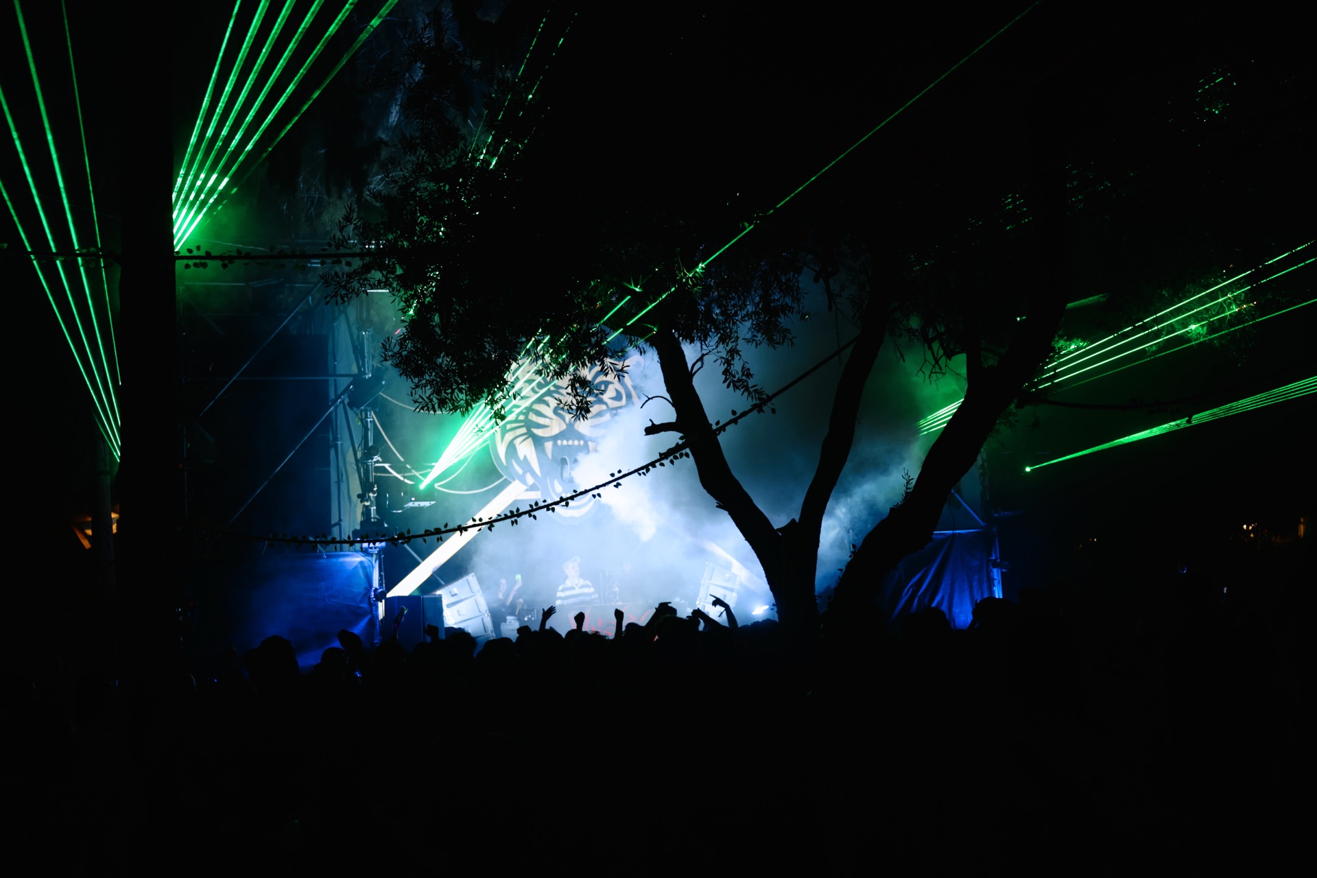 MESS JUNGLE TRIP — 154