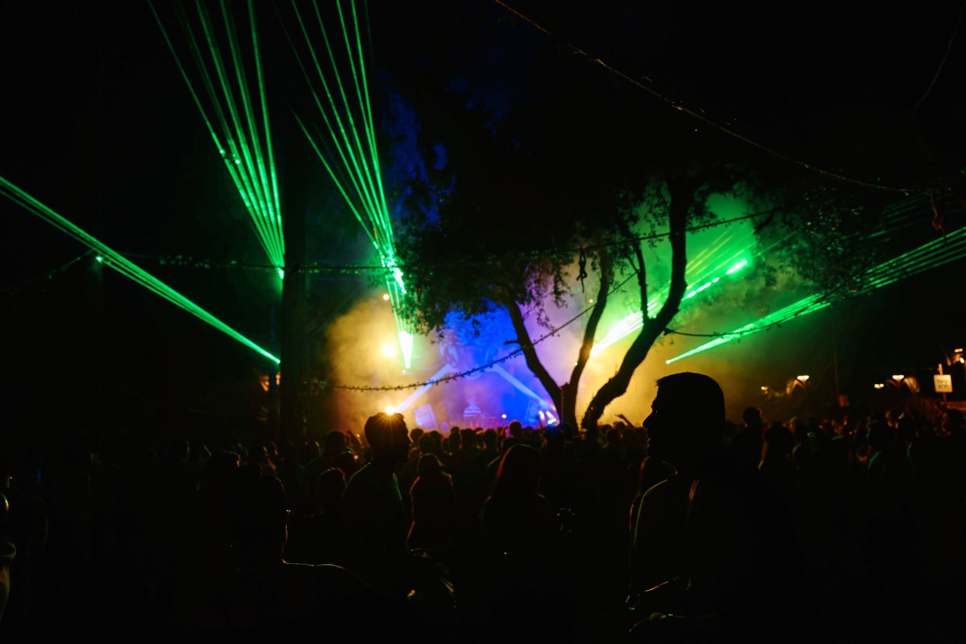 MESS JUNGLE TRIP — 155