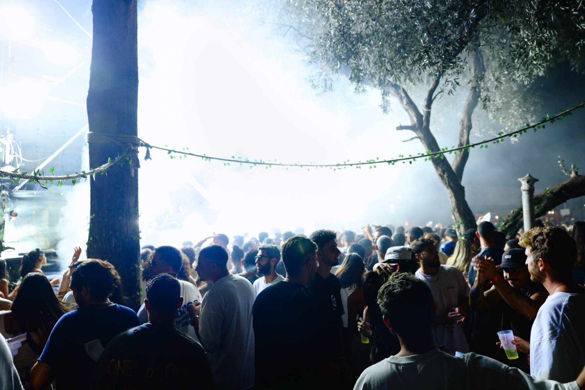 MESS JUNGLE TRIP — 198