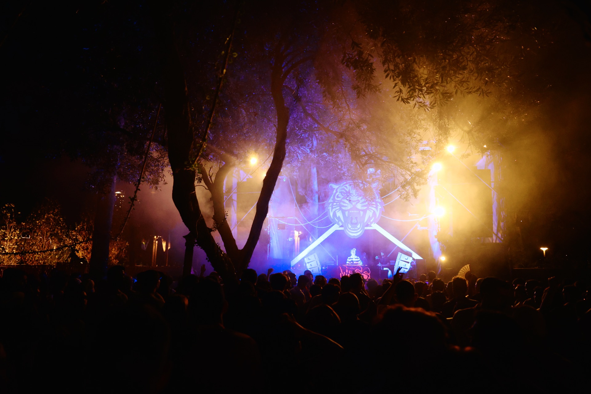 MESS JUNGLE TRIP — 199