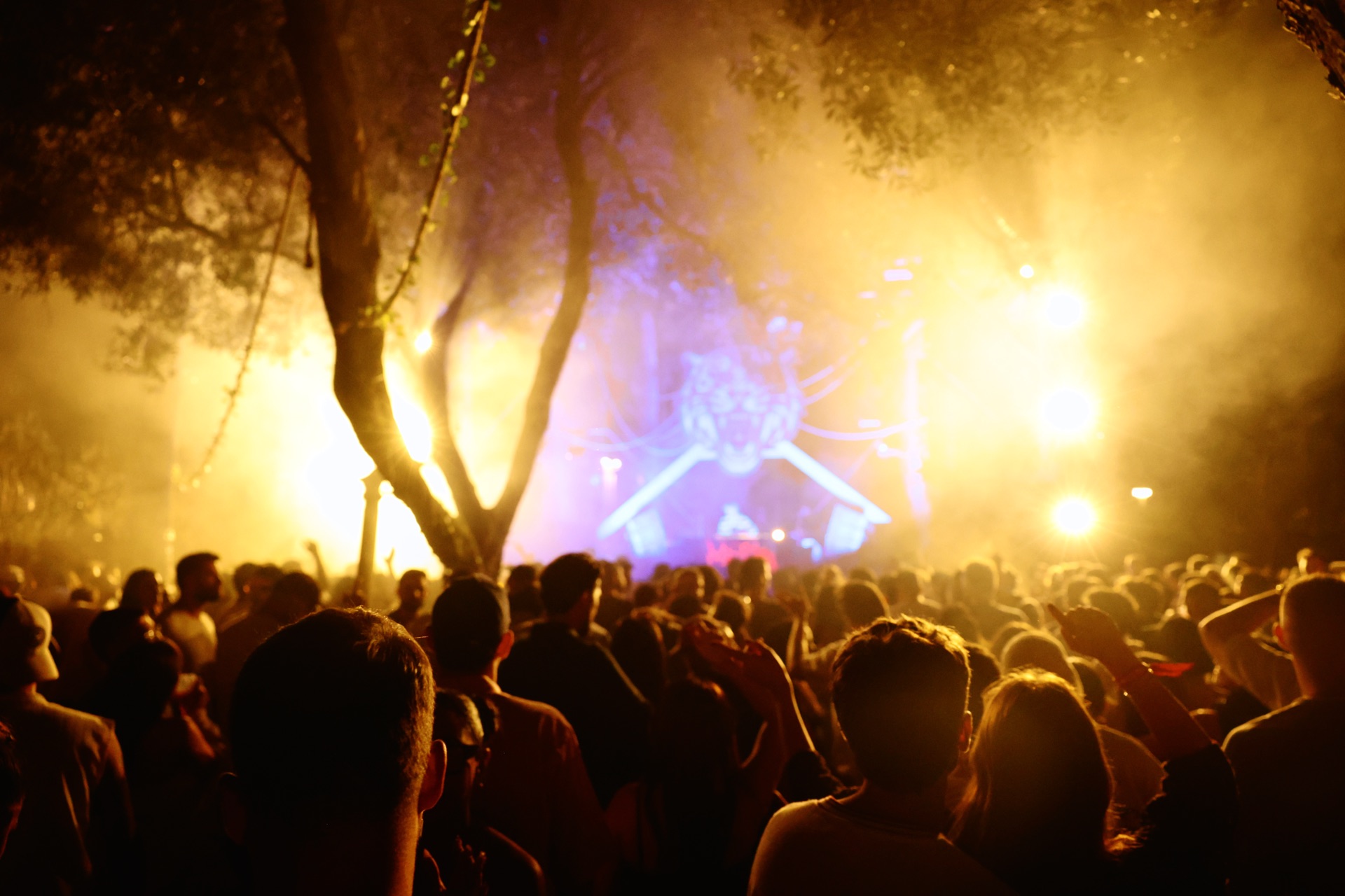 MESS JUNGLE TRIP — 200